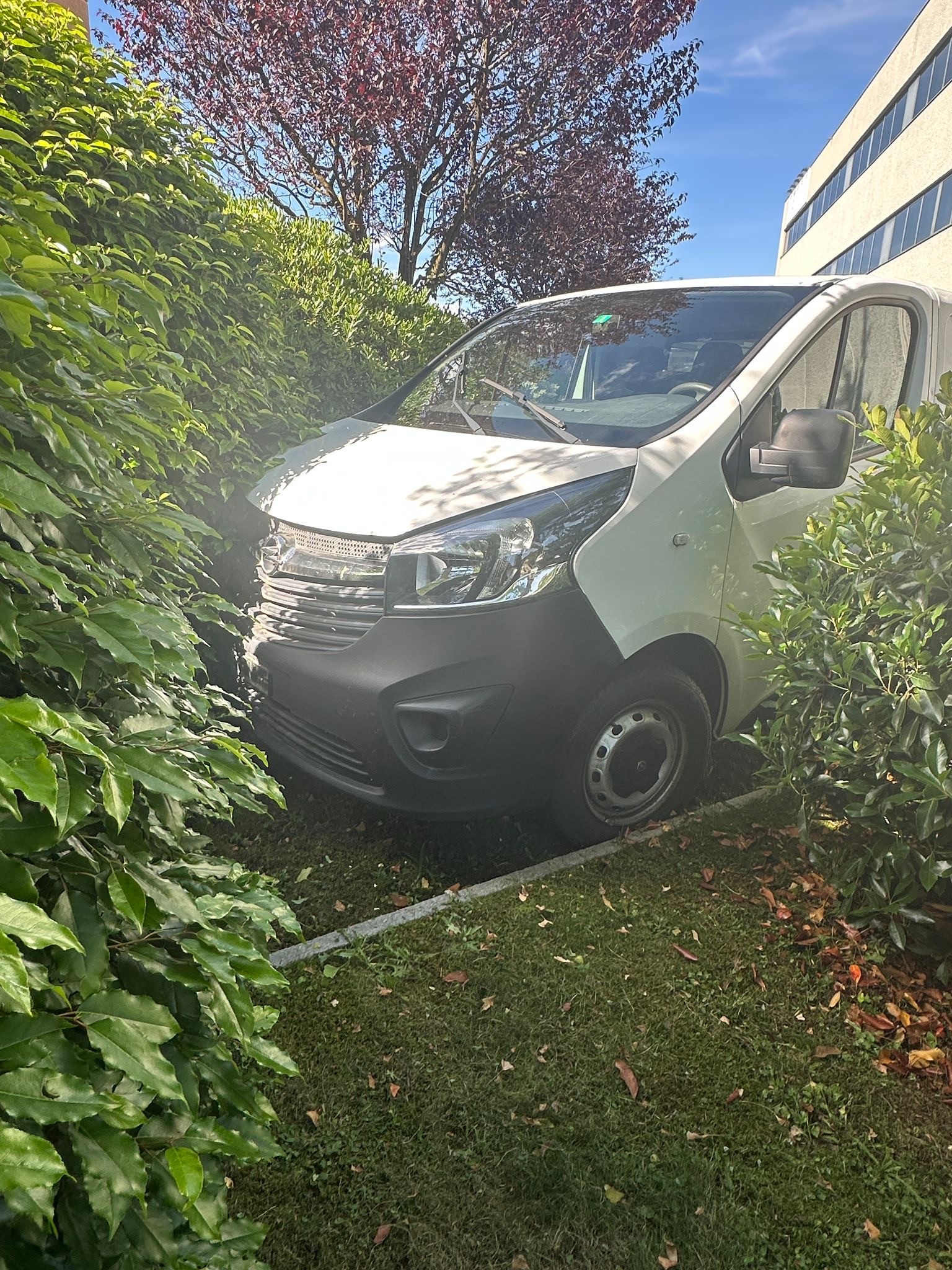 OPEL Vivaro 2.0 CDTI 2.9t L2H1-image-3