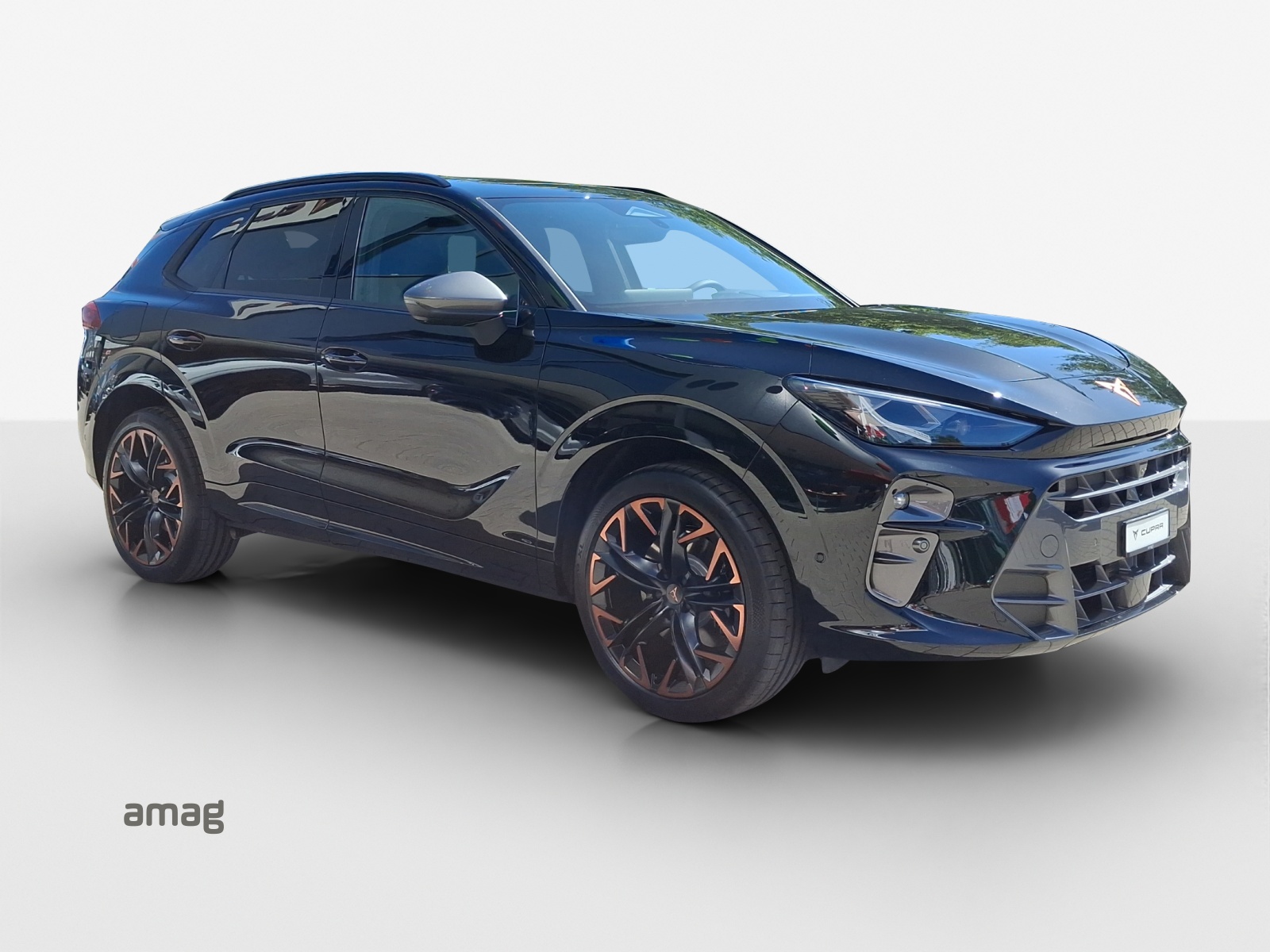 CUPRA Terramar 2.0 TSI DSG 4Drive VZ-image-5