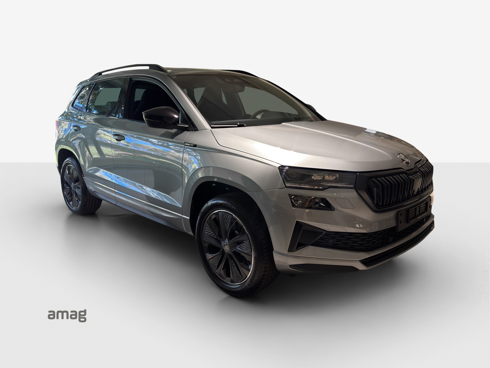 SKODA Karoq 2.0 TSI SportLine 4x4 DSG-image-3