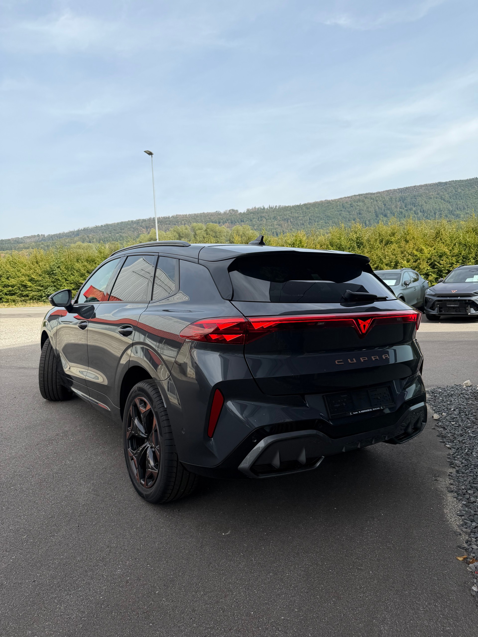 CUPRA Terramar 2.0 TSI Prime Edition DSG 4Drive-image-2