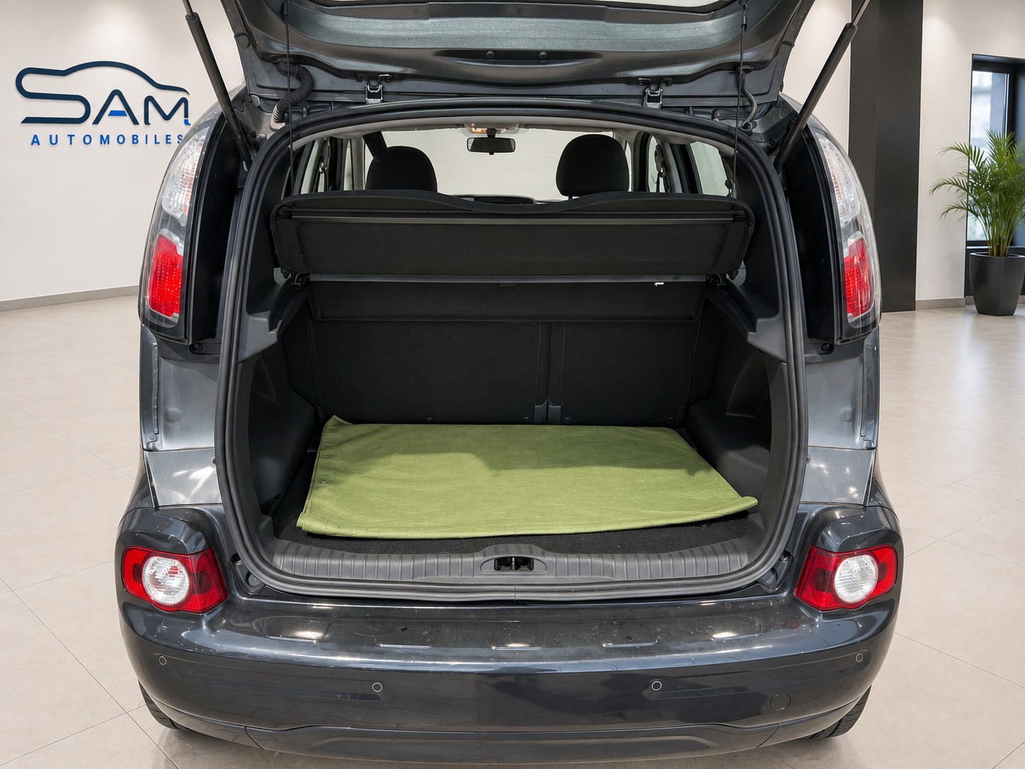 CITROEN C3 PICASSO-image-6