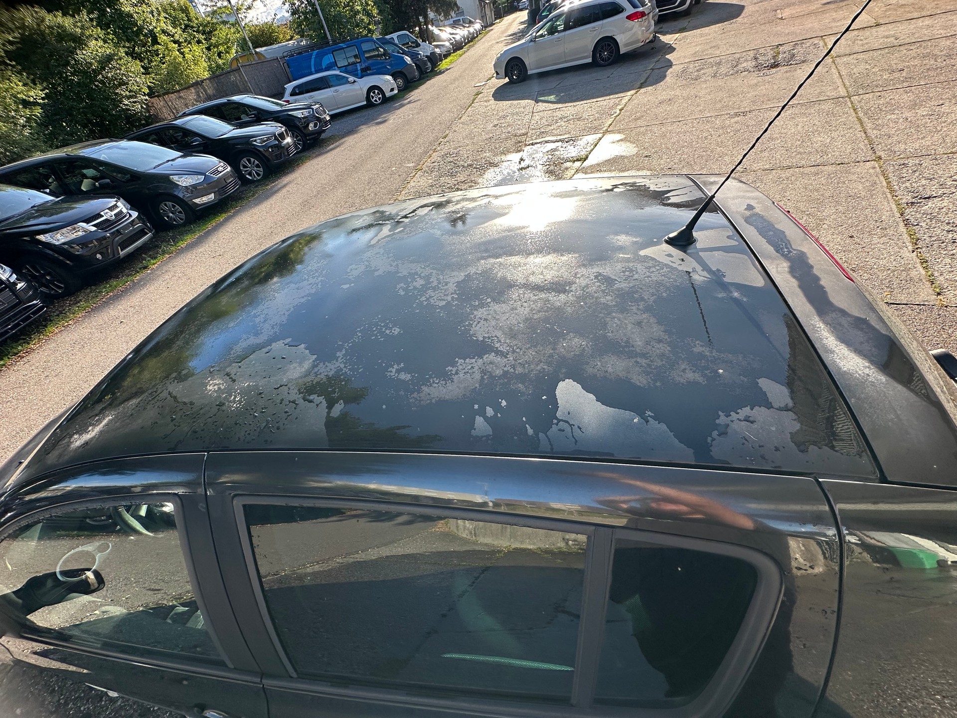 RENAULT Clio 1.2 16V Turbo Rip Curl-image-7