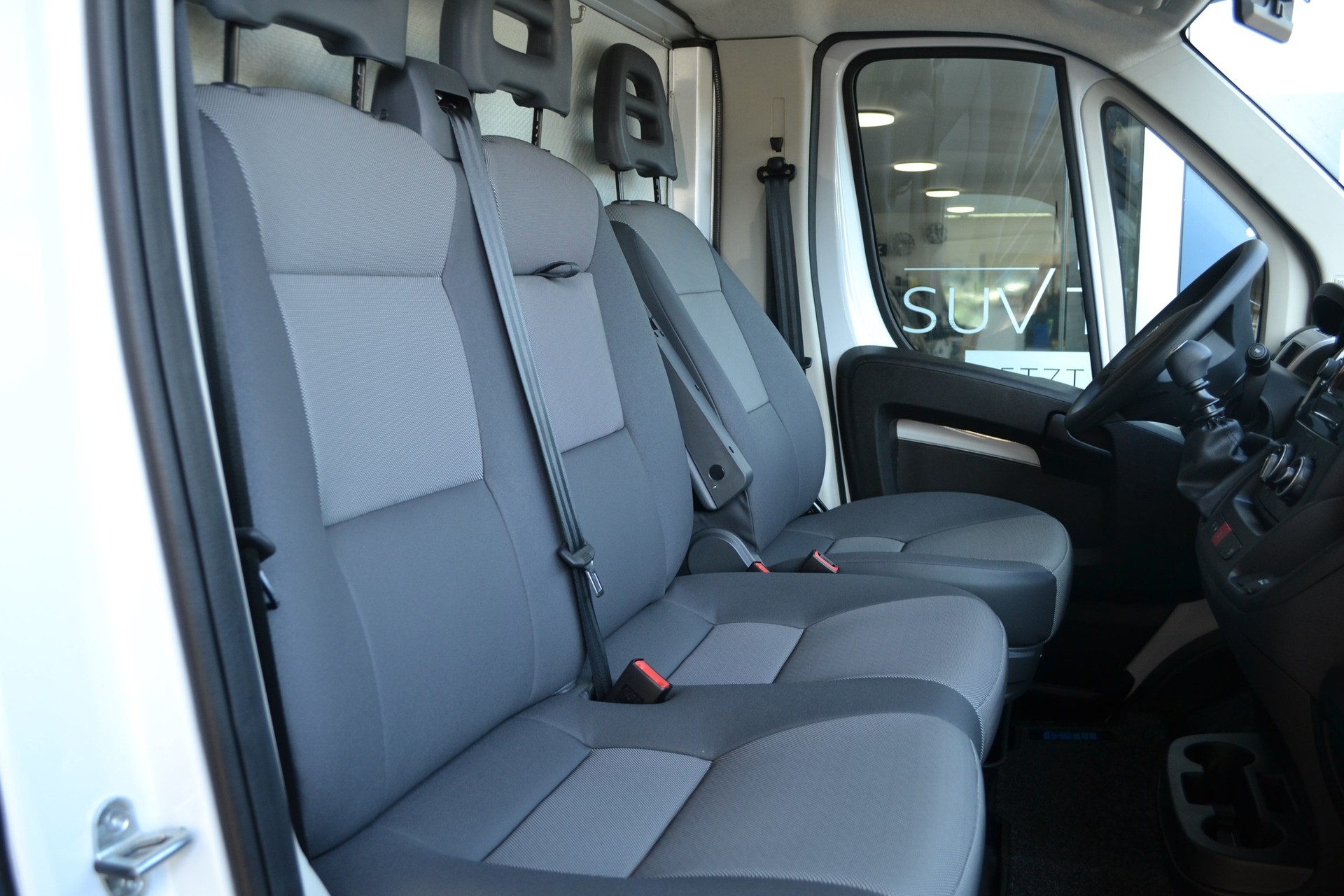 PEUGEOT Pferdetransport MSG Superlight Plus-image-7