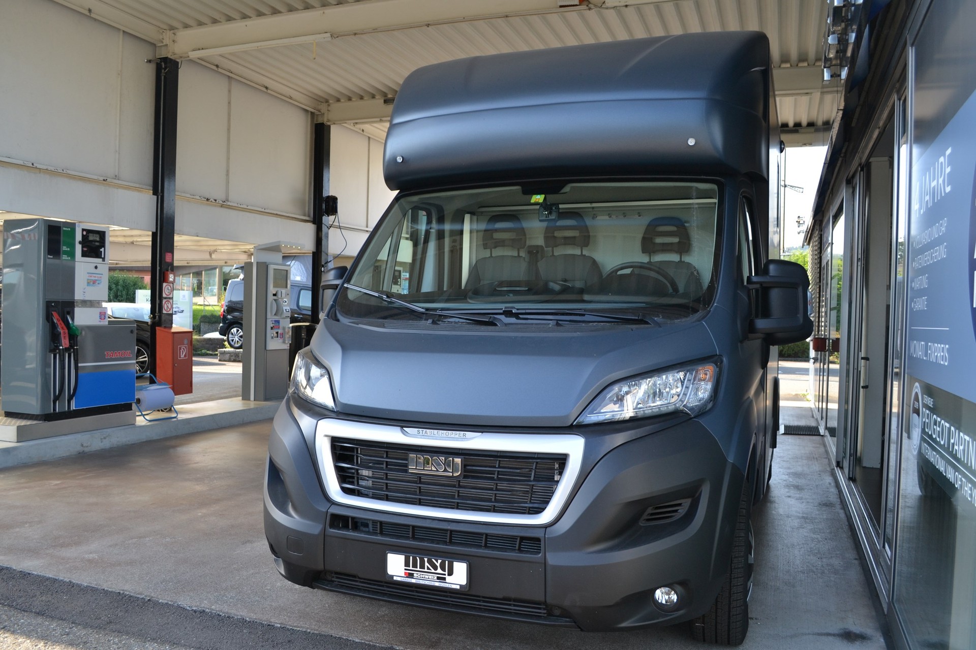 PEUGEOT Pferdetransport MSG Superlight Plus-image-9