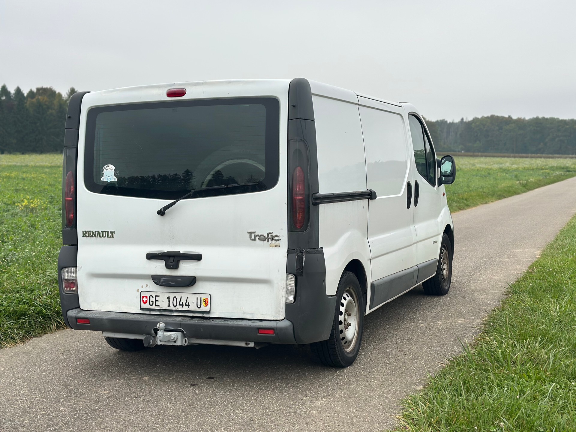 RENAULT Trafic 1.9 dCi 100 2.9t-image-6