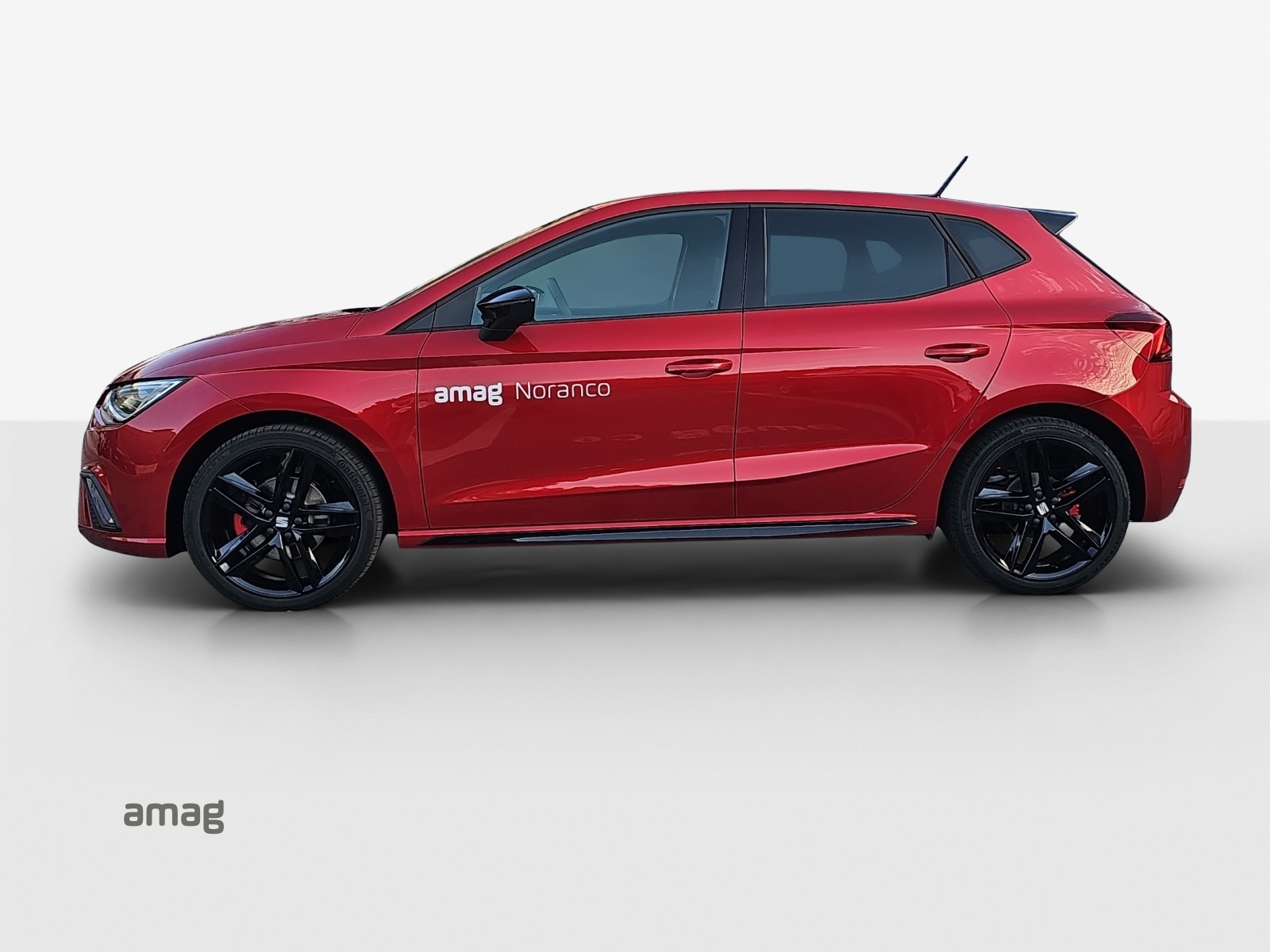 SEAT Ibiza 1.0 EcoTSI 75 Edition DSG-image-2