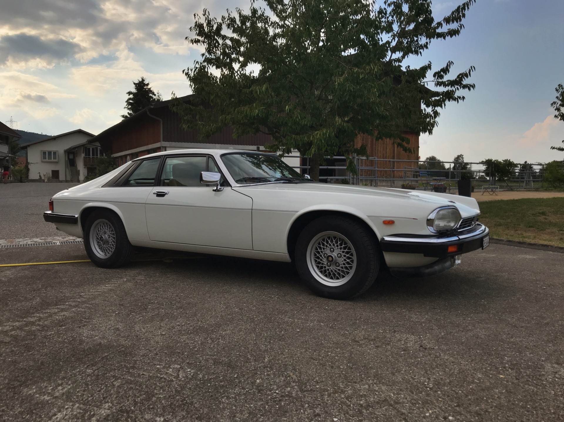 JAGUAR XJS 5.3 V12 ABS-image-4
