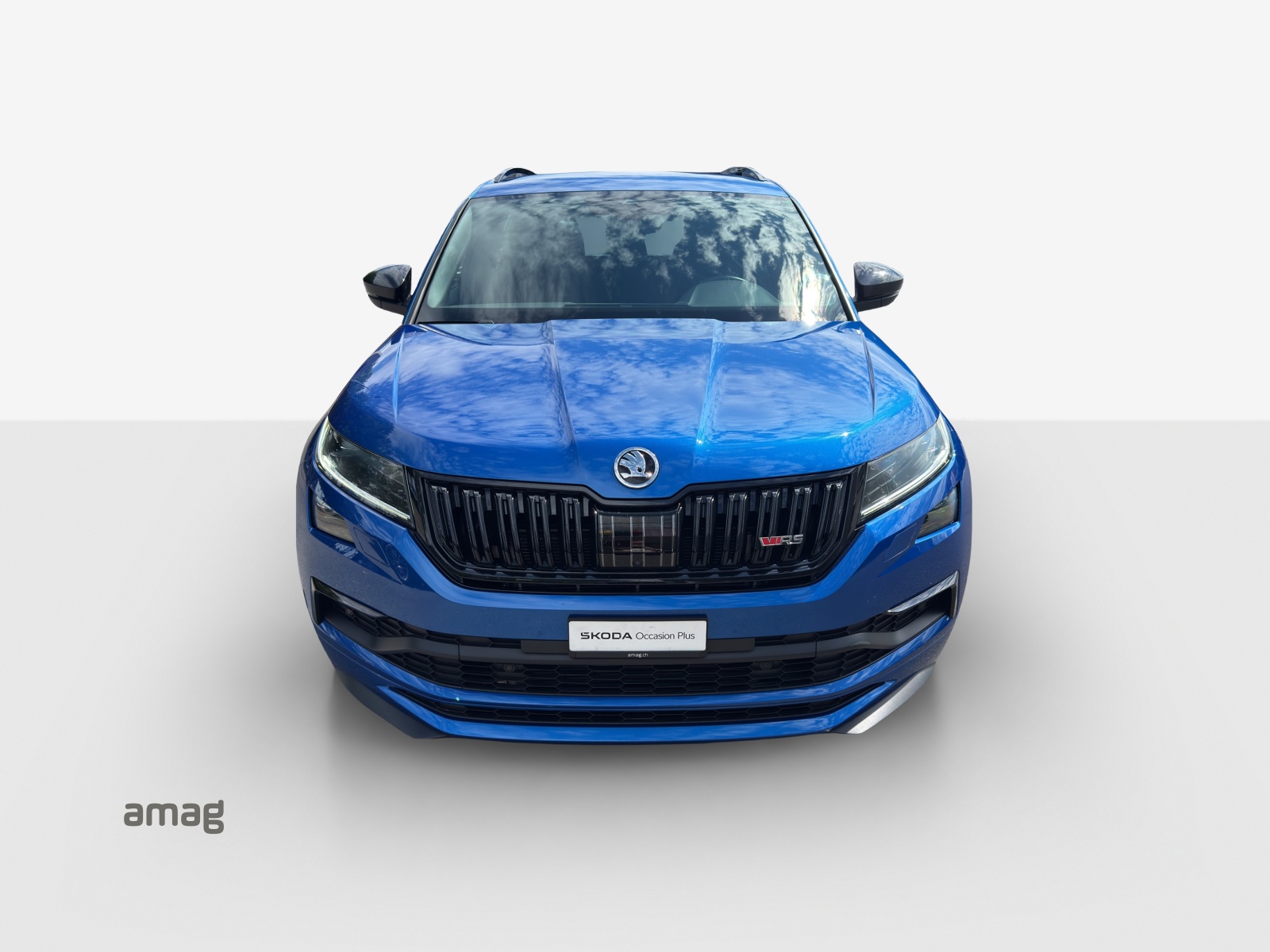 SKODA Kodiaq 2.0 Bi-TDI SCR RS 4x4 DSG-image-6