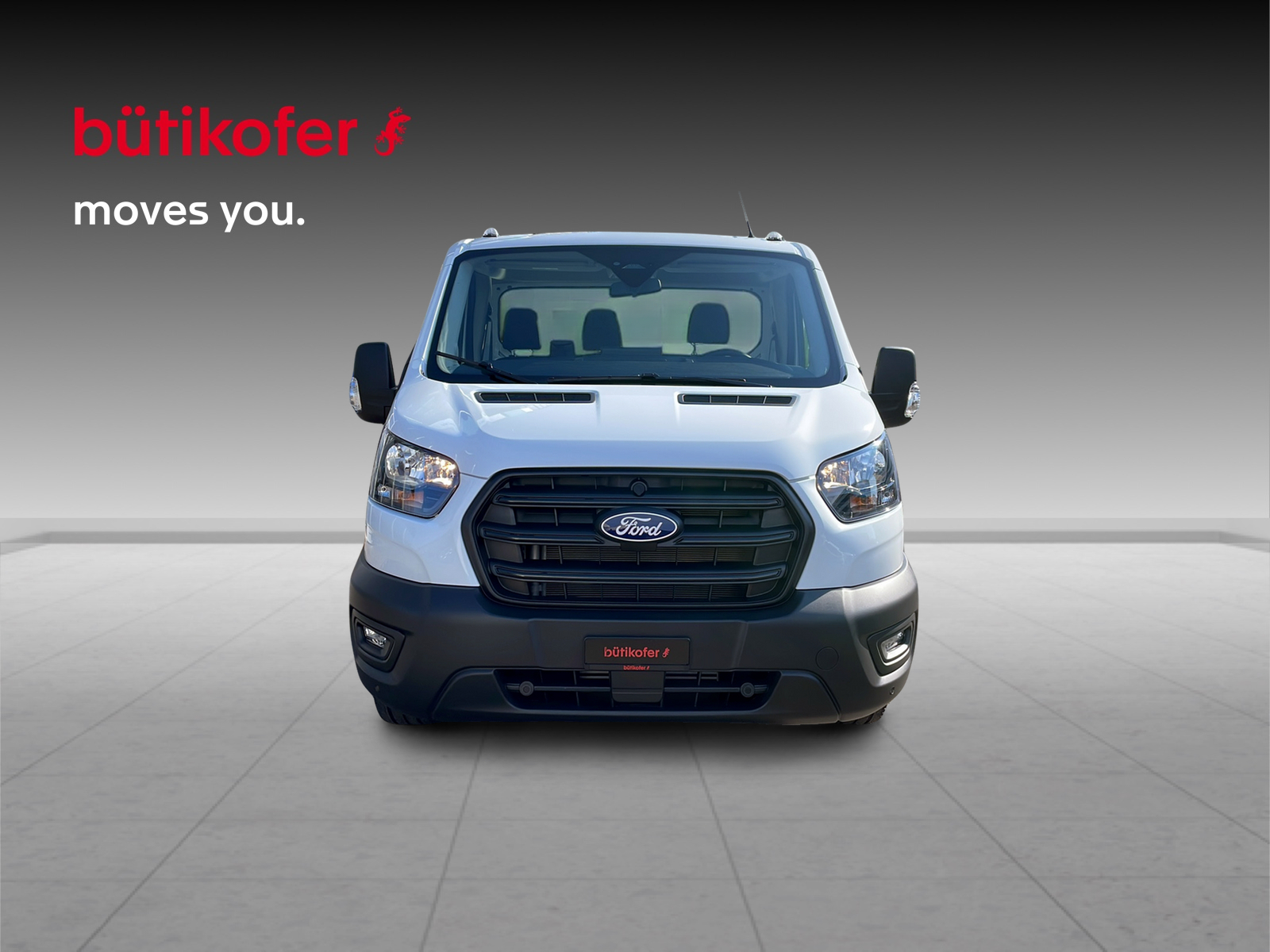FORD Transit Kab.-Ch. 350 L2 Kipper Achse 4.1 2.0 EcoBlue 165 Trend-image-1