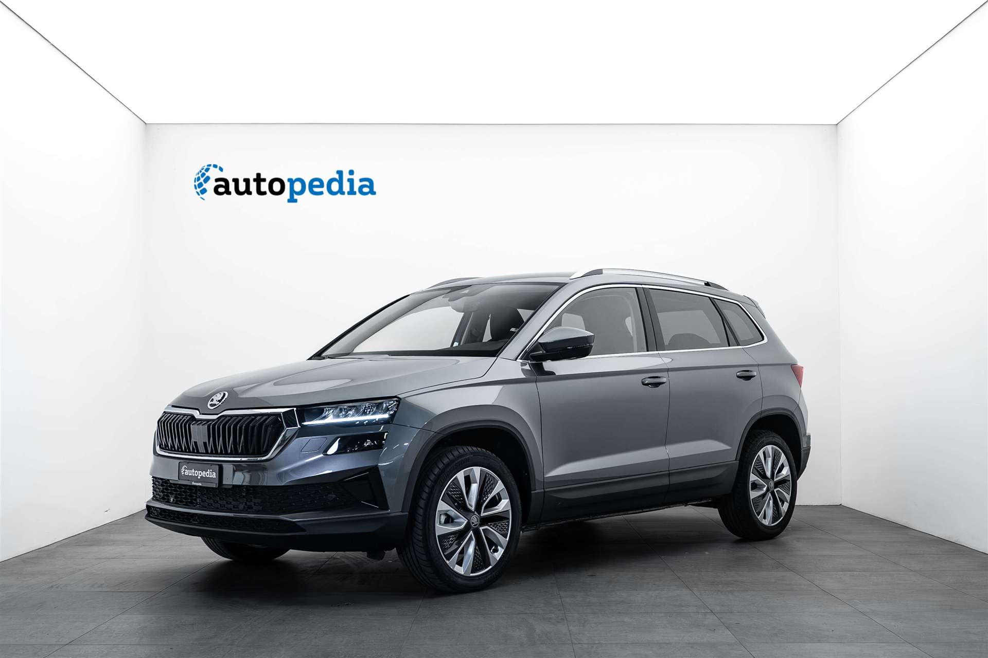 SKODA SKODA Karoq 1.5 TSI Selection DSG-image-0