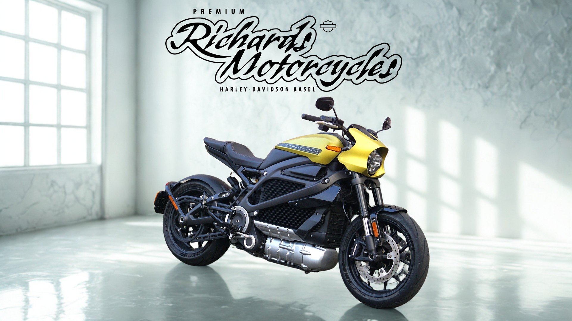 HARLEY-DAVIDSON Live Wire-showroom-element-1