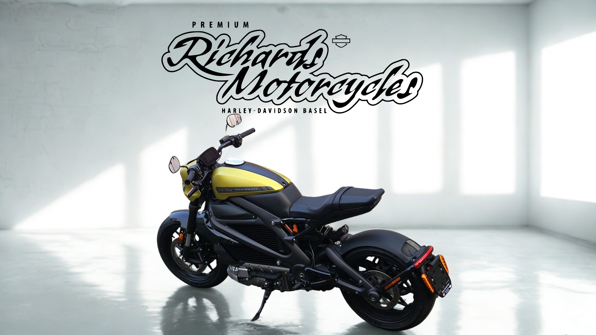 HARLEY-DAVIDSON Live Wire-image-5