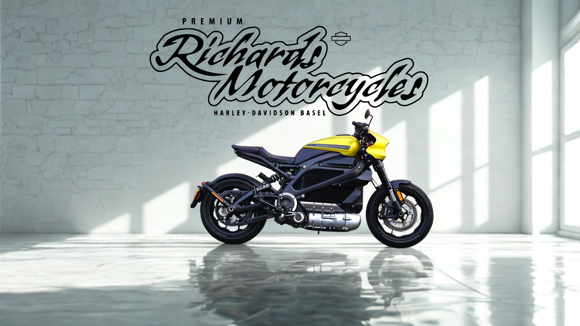 HARLEY-DAVIDSON Live Wire