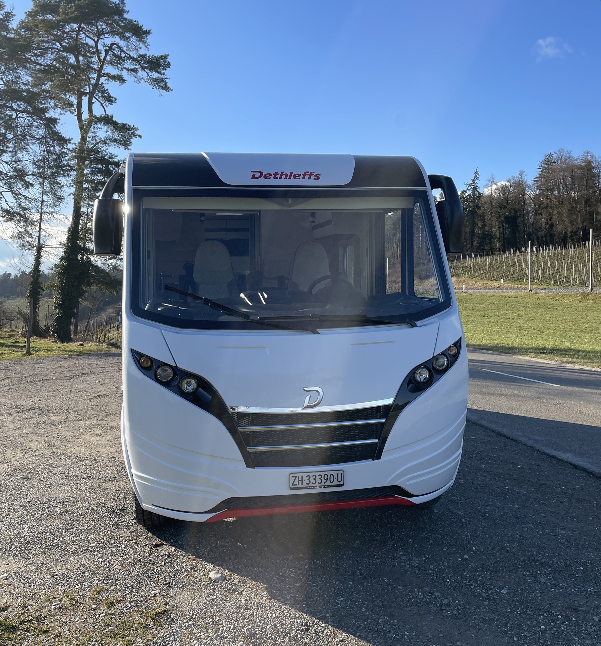 DETHLEFFS Globebus I4-image-1
