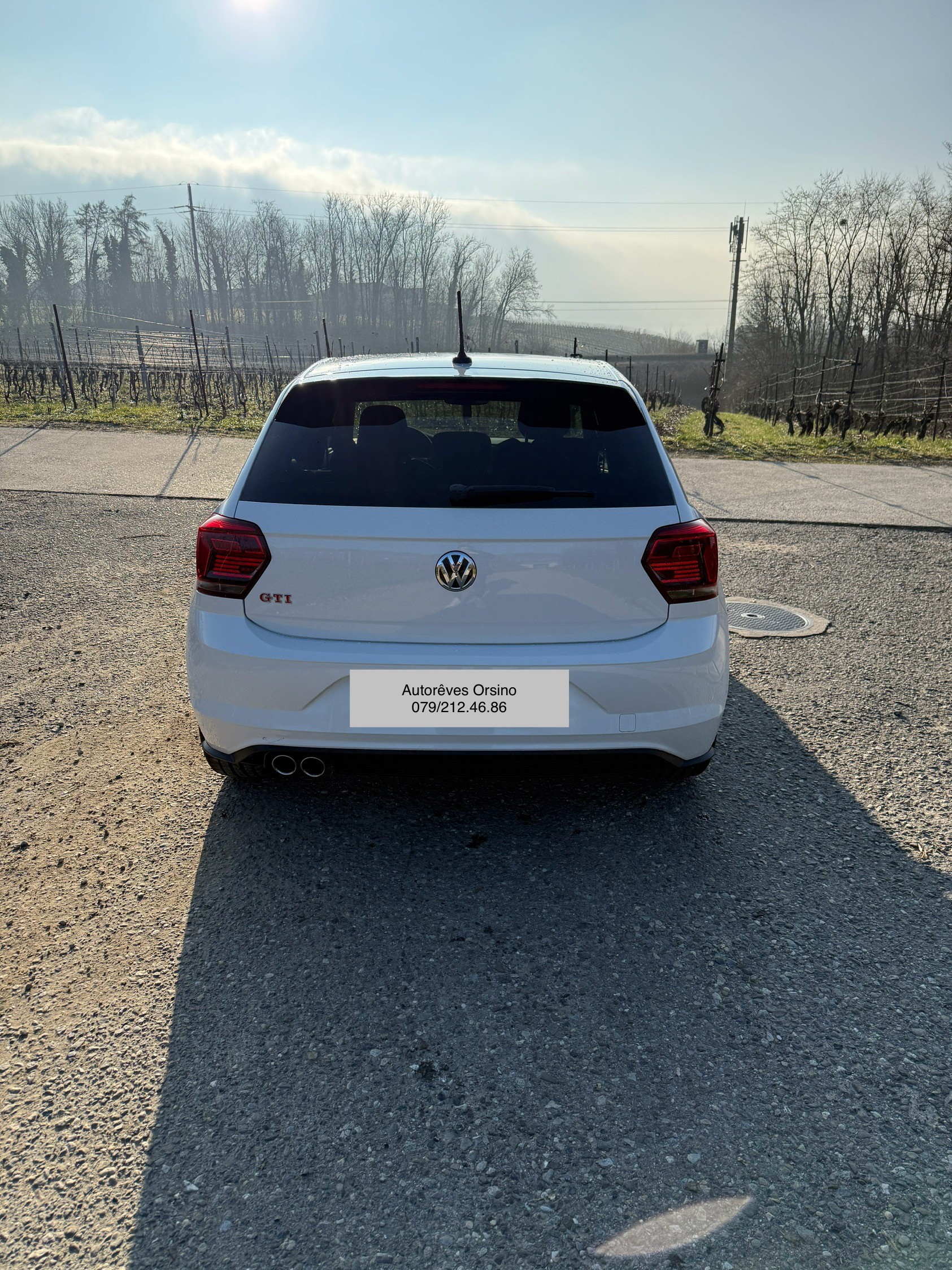 VW Polo 2.0 TSI GTI DSG-image-4