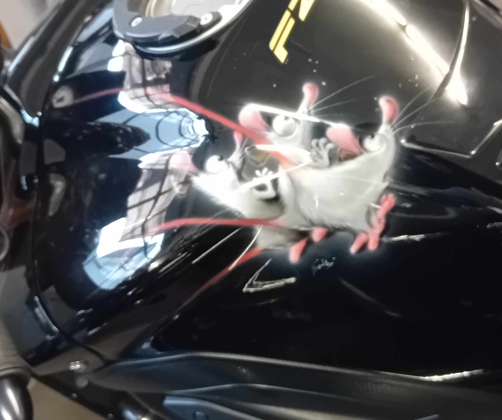 YAMAHA FZ8 N ABS-image-6