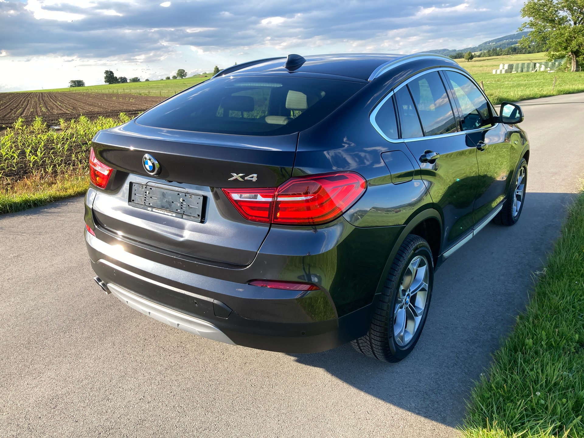 BMW X4 xDrive 30d xLine Steptronic-image-2