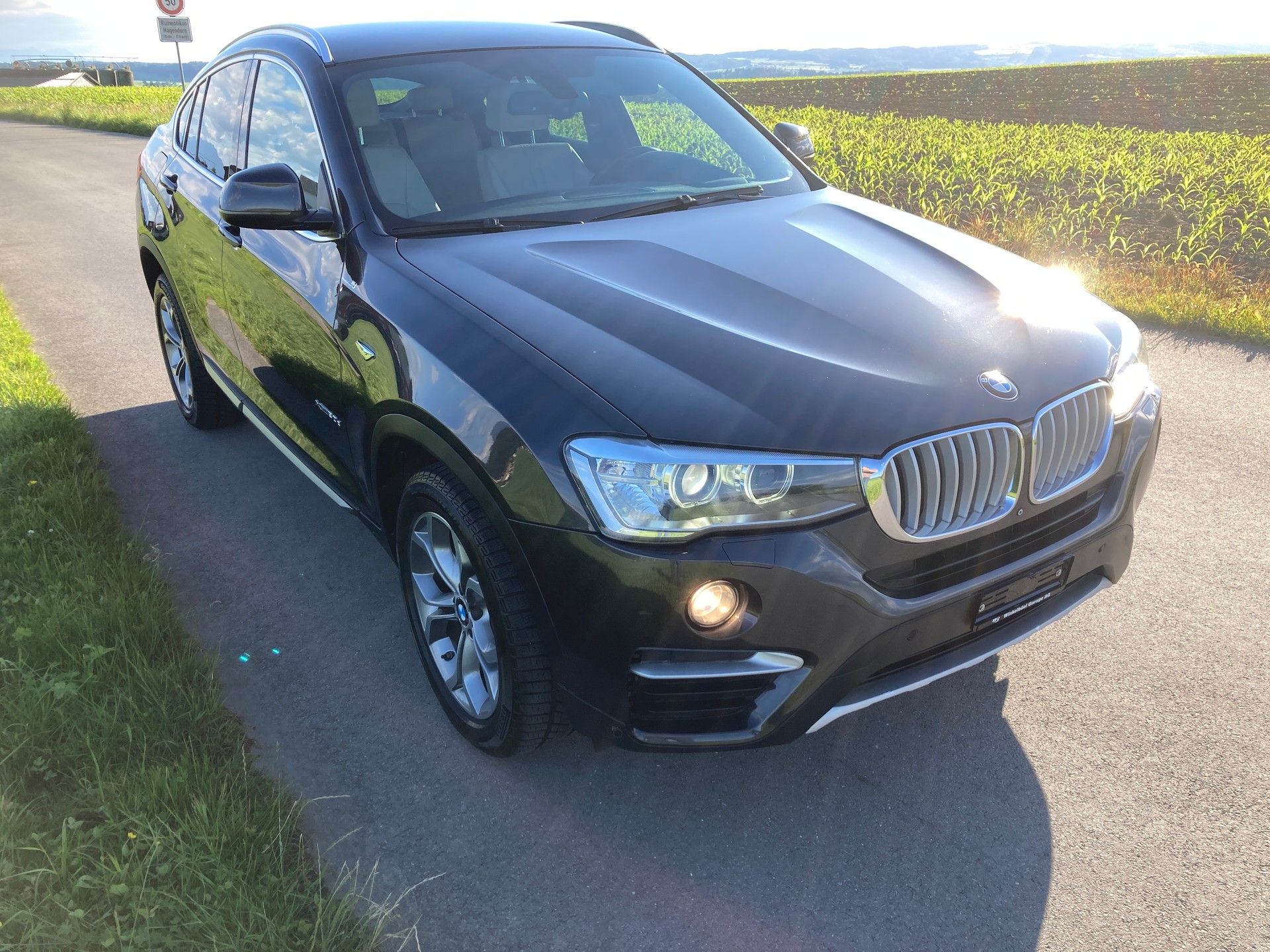 BMW X4 xDrive 30d xLine Steptronic-image-1