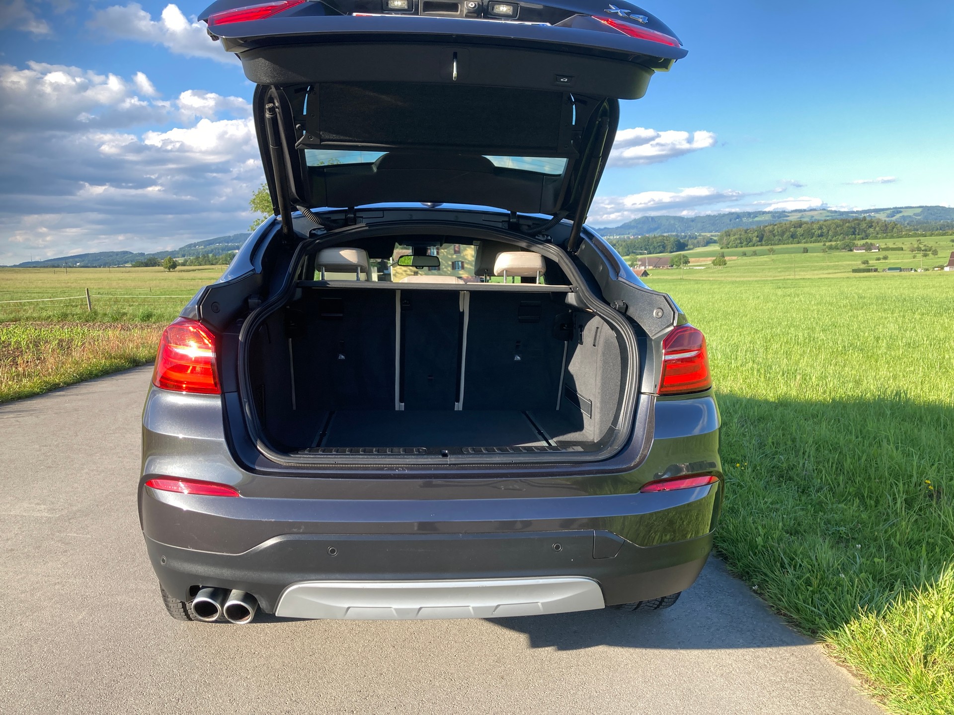 BMW X4 xDrive 30d xLine Steptronic-image-5