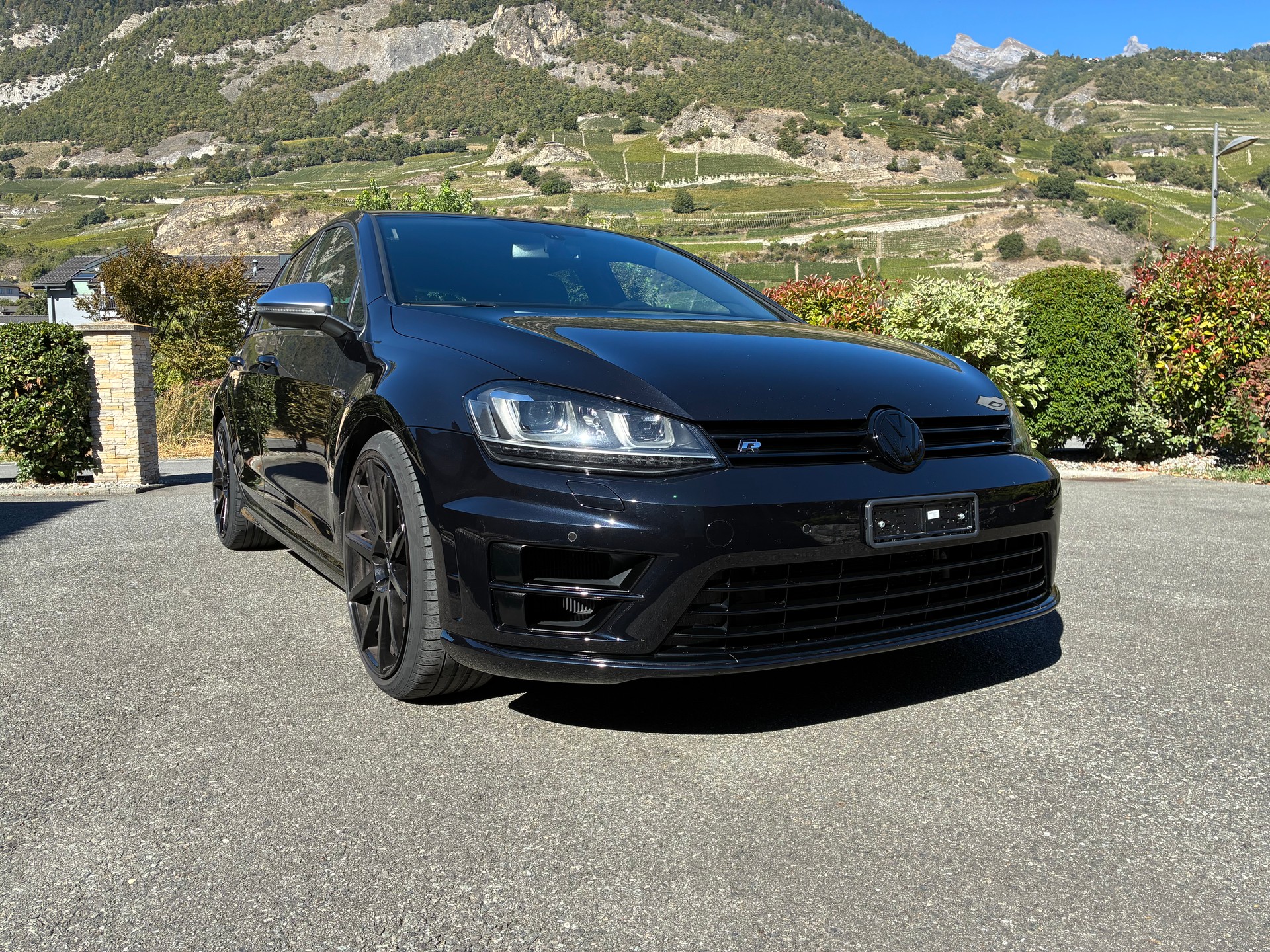VW 2.0 TSI R DSG 4motion-image-2