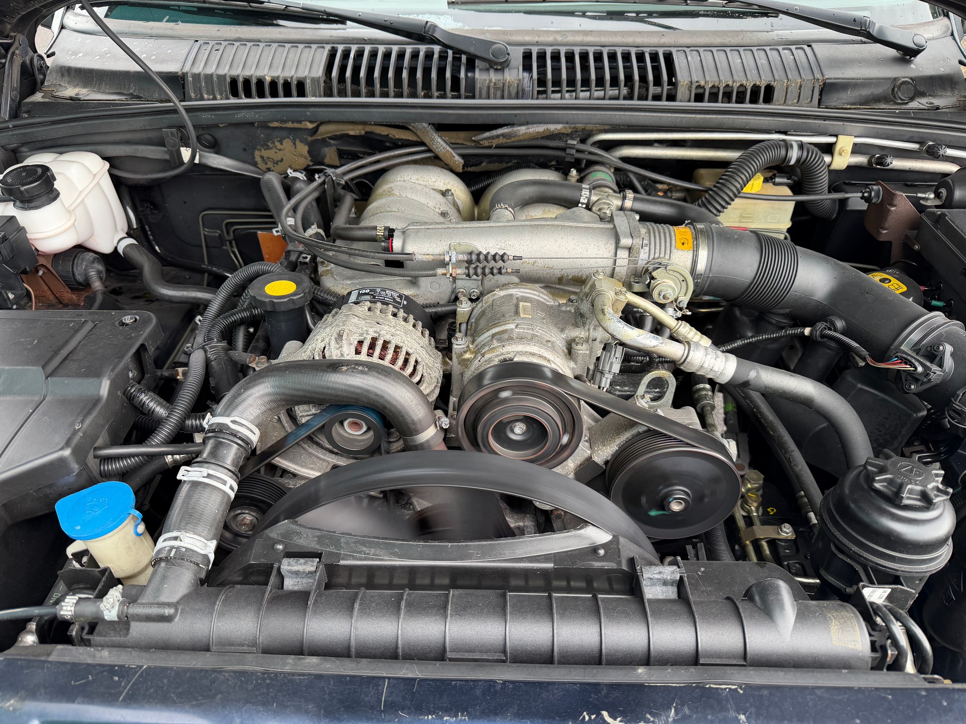 LAND ROVER Range Rover 4.6 HSE-image-14