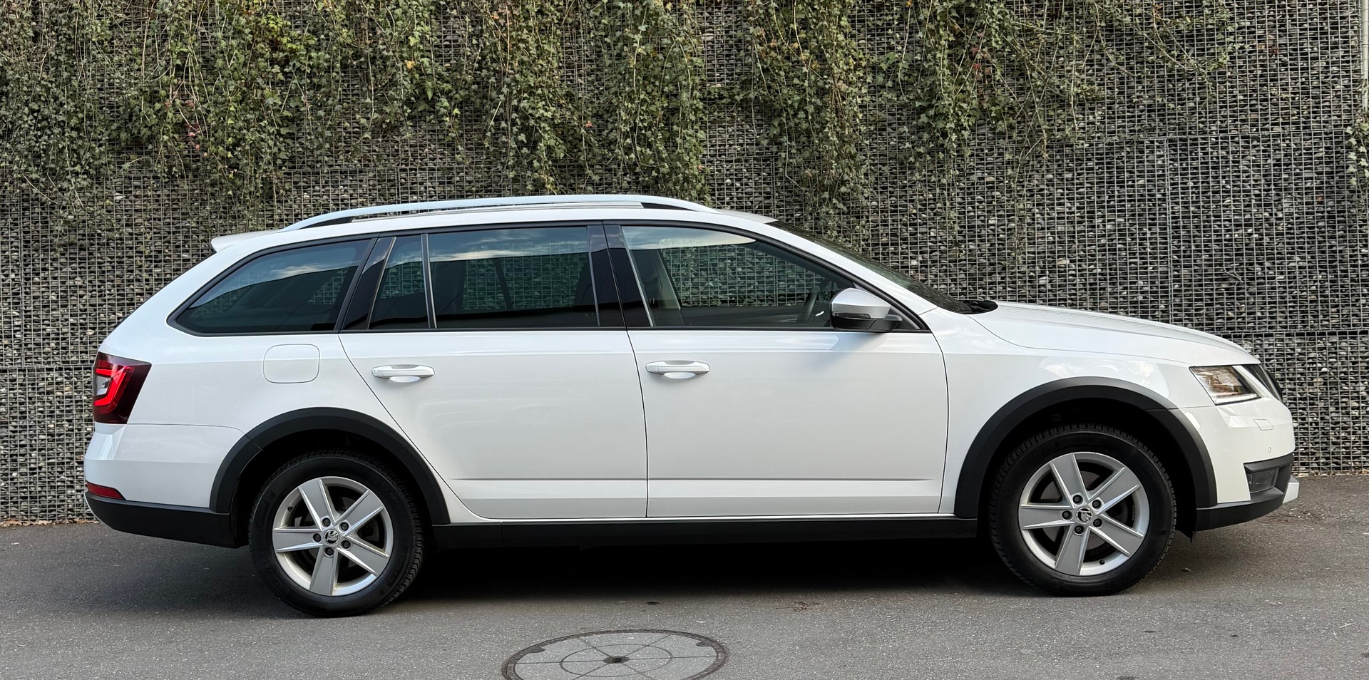 SKODA Octavia Combi 2.0 TDI Scout 4x4 DSG Leasing ab 295.--image-5