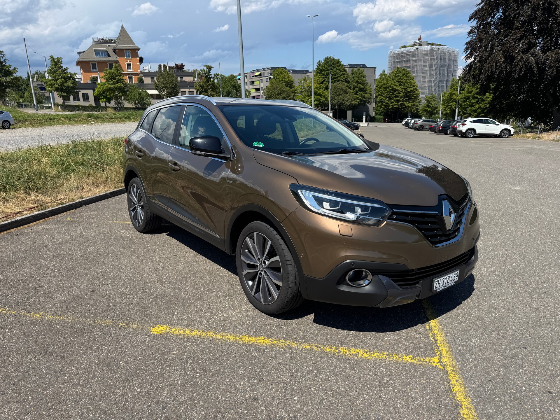 RENAULT Bose ab MFK-image-1