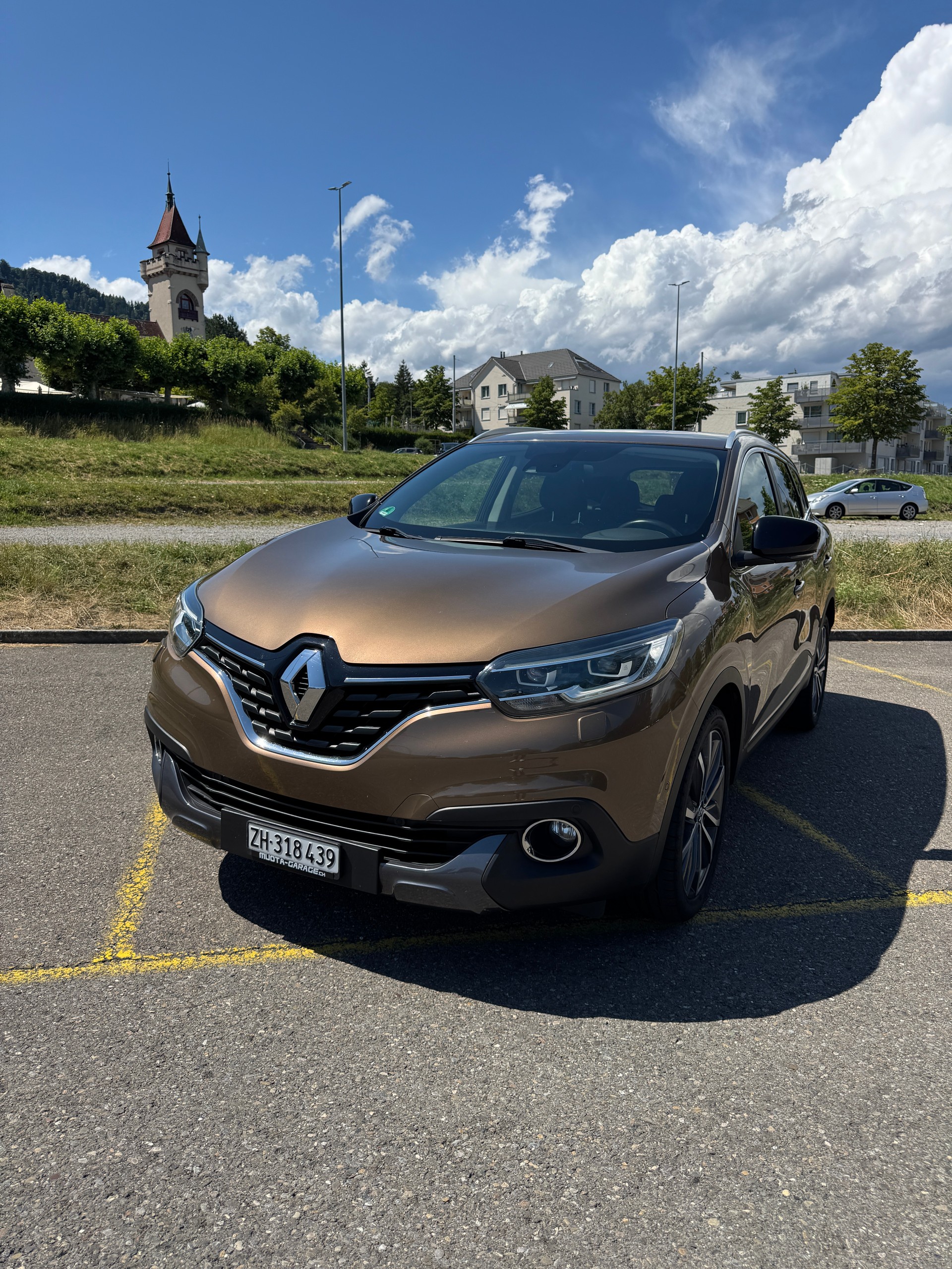 RENAULT Bose ab MFK-image-0