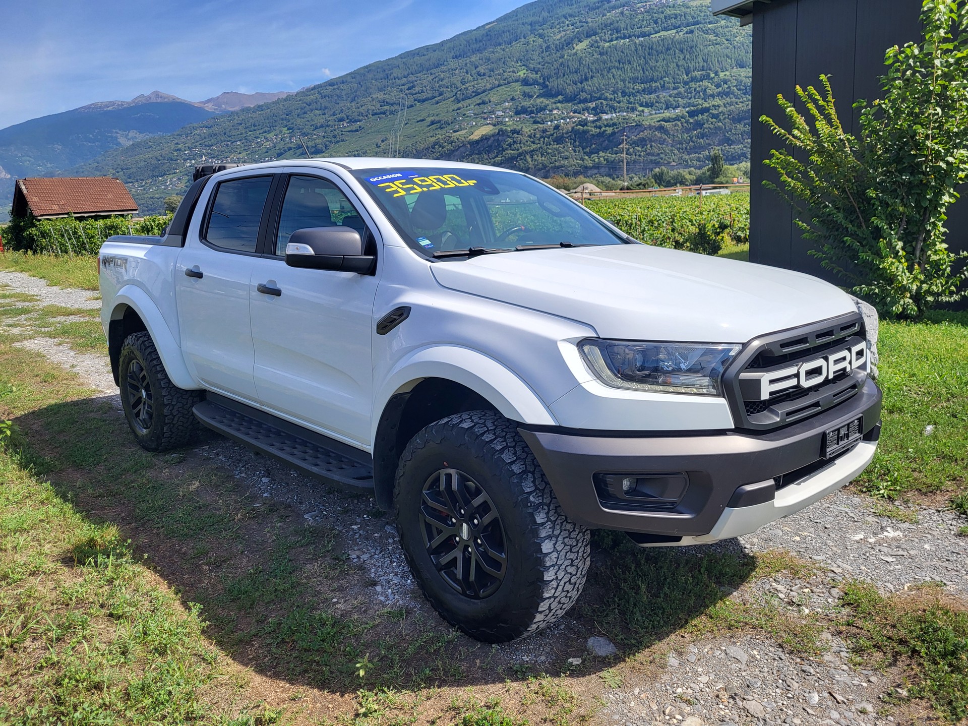 FORD 2.0 EcoBlue 4x4 Raptor-image-4