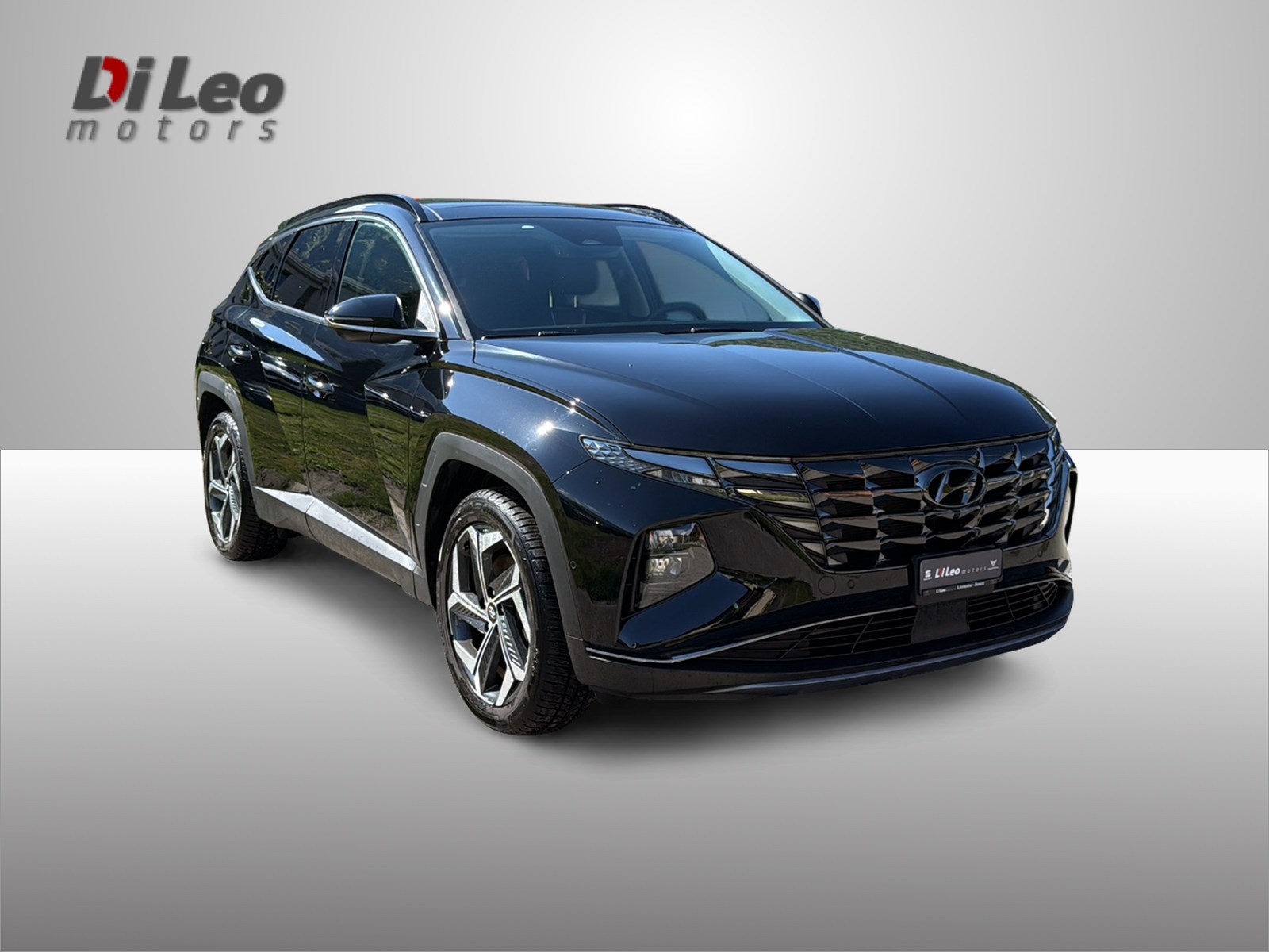 HYUNDAI Tucson 1.6 TGDI HEV Vertex 4WD-image-2