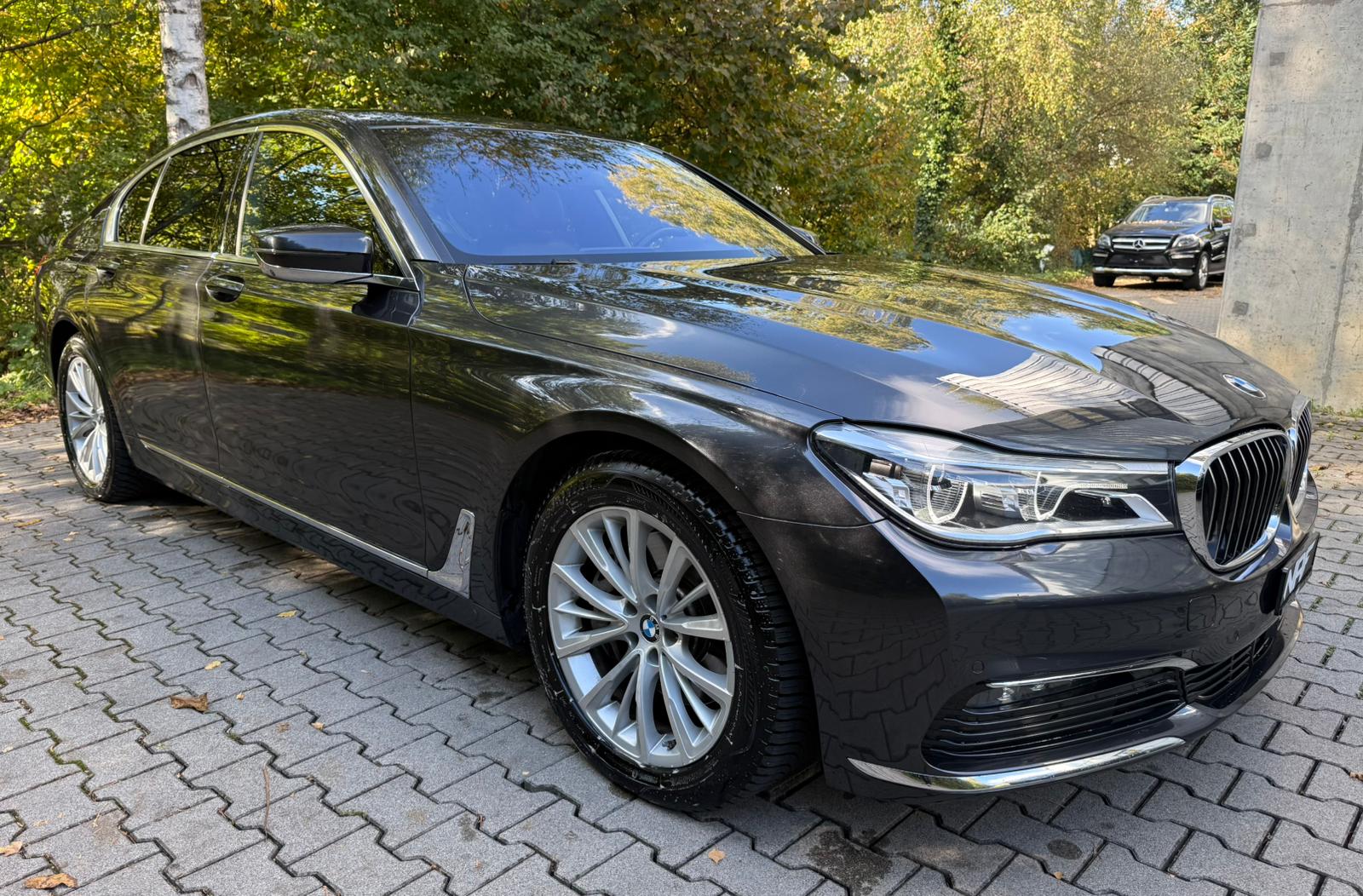 BMW 730d xDrive Steptronic-image-6