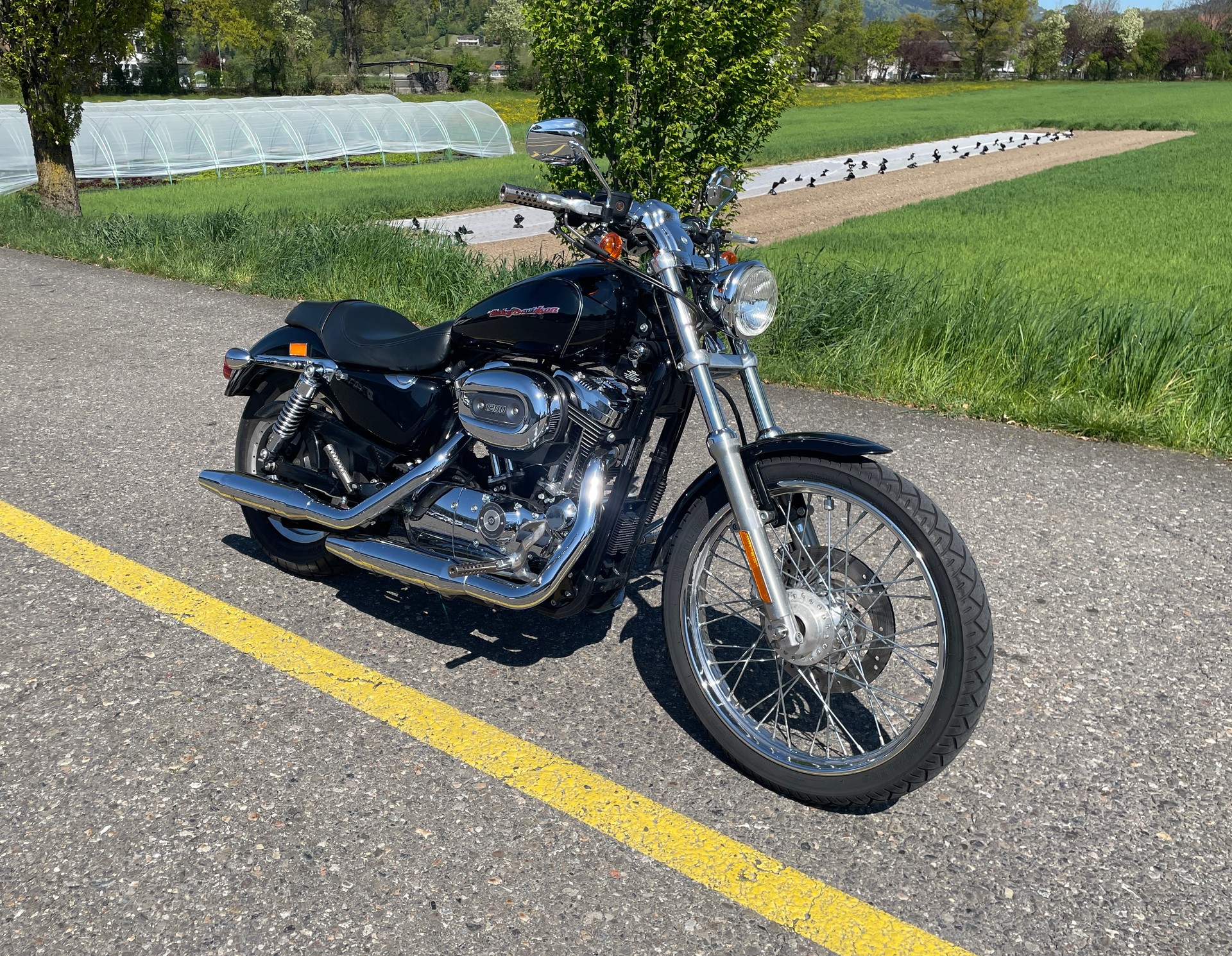 HARLEY-DAVIDSON XL 1200 C Sportster Custom-image-2