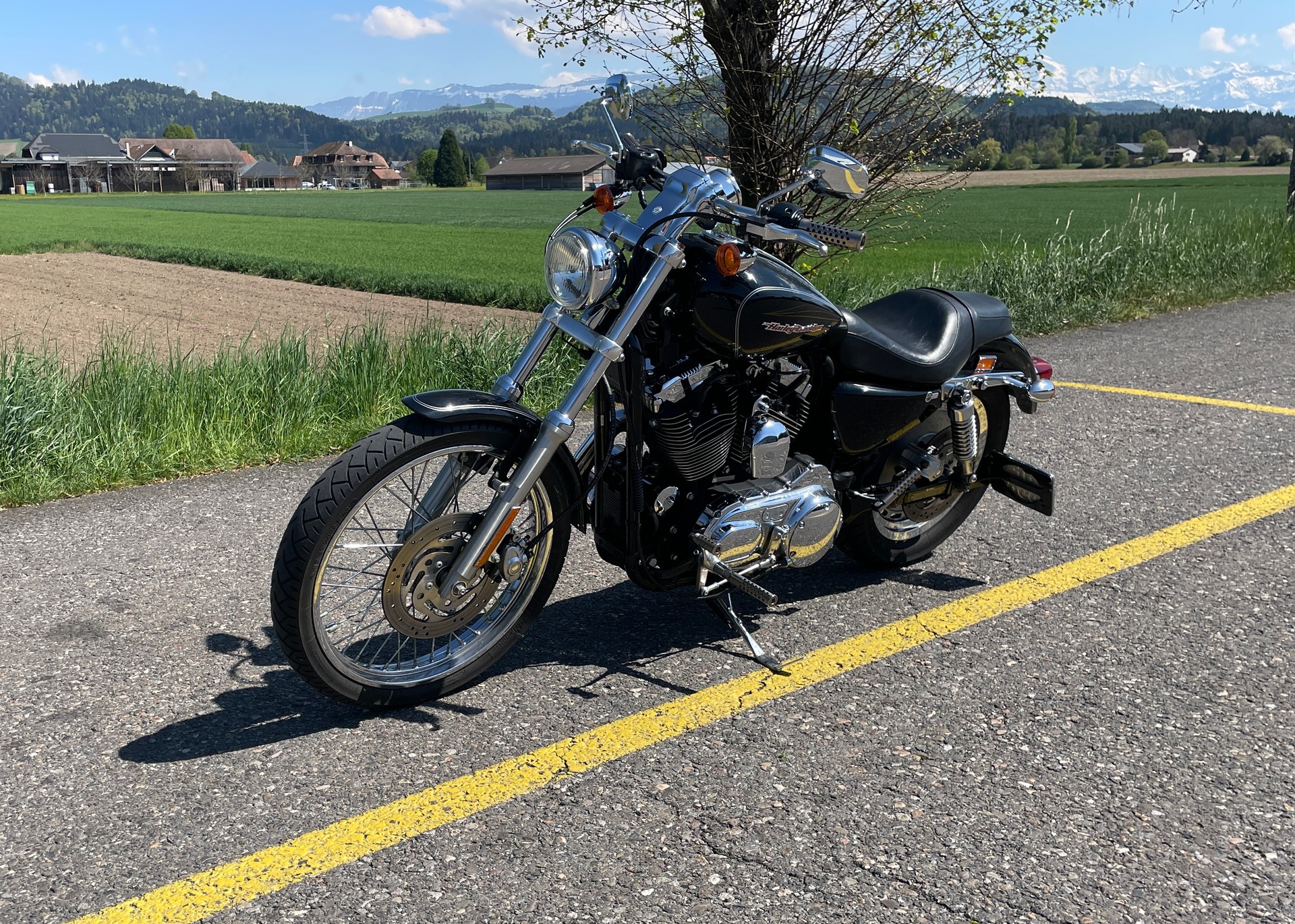 HARLEY-DAVIDSON XL 1200 C Sportster Custom-image-3