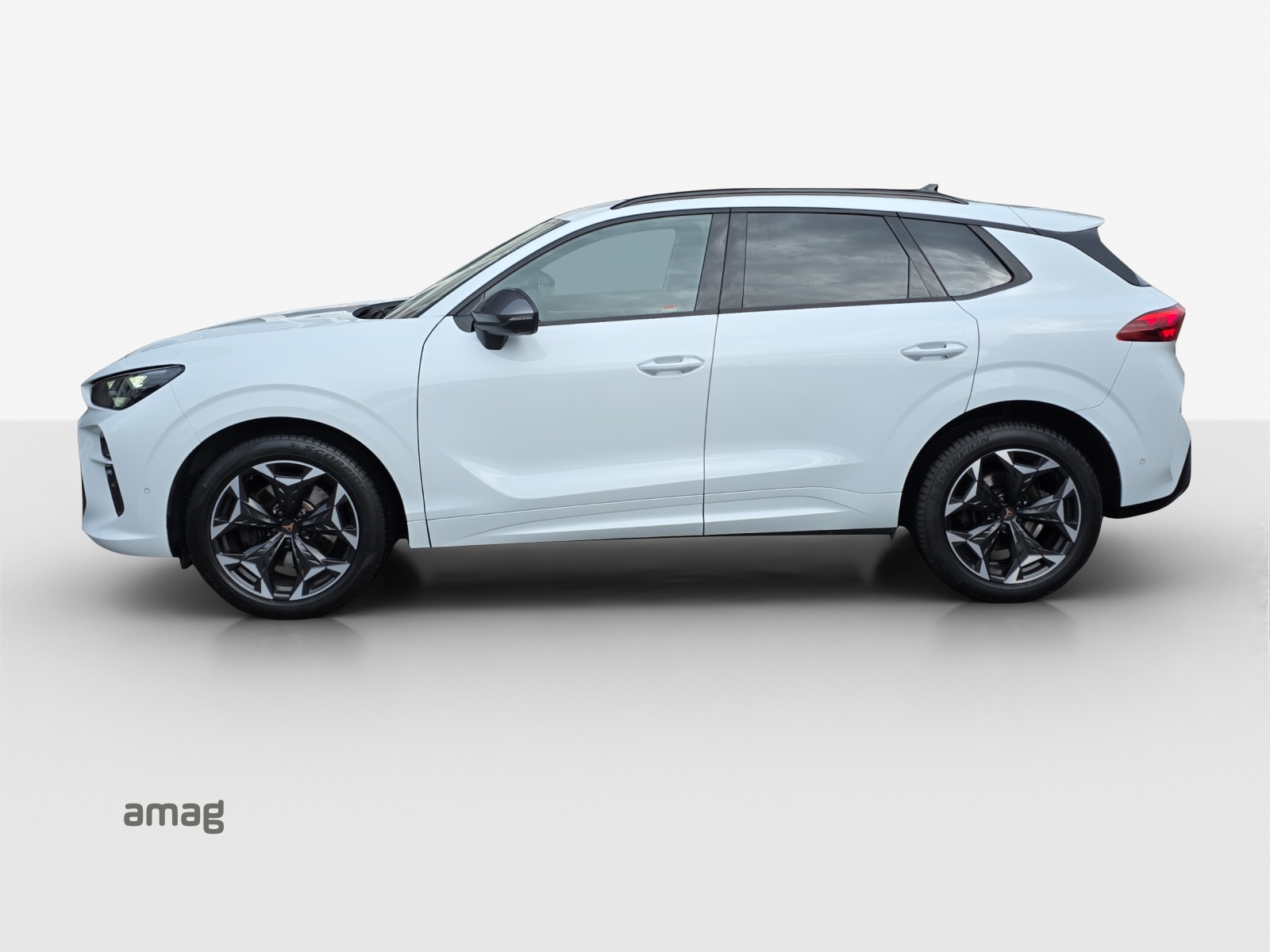 CUPRA Terramar 2.0 TSI DSG 4Drive VZ-image-1