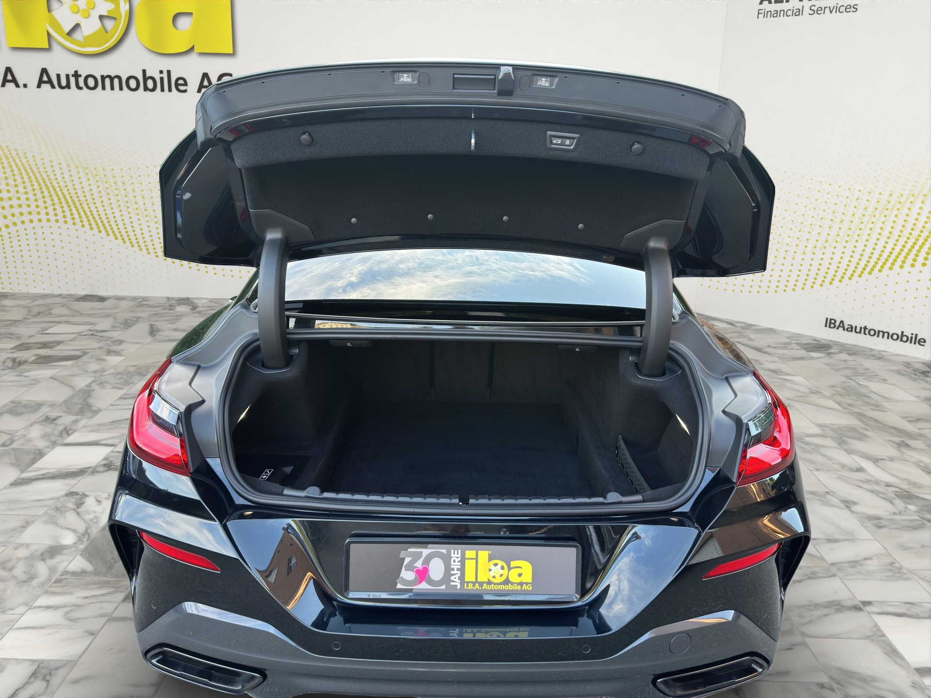 BMW M850i xDrive (CH) Individual-image-8