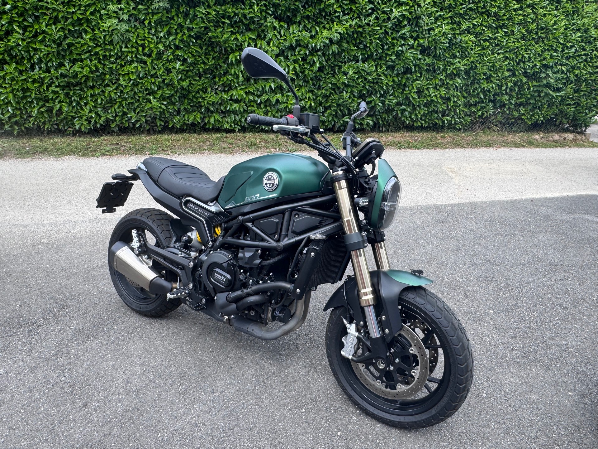 BENELLI Leoncino 800