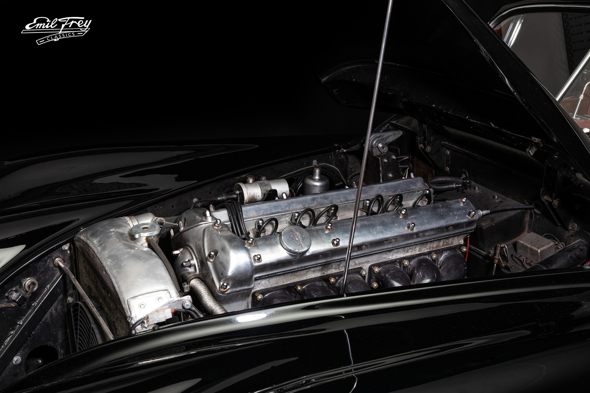 JAGUAR XK 120 DHC-image-4