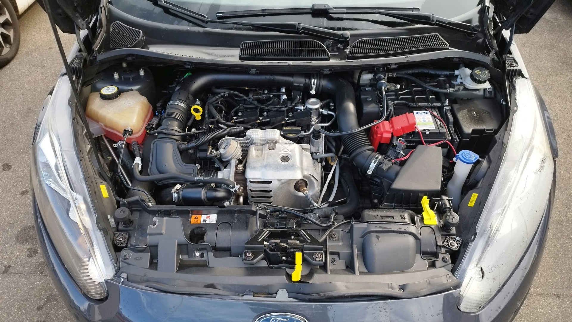 FORD Fiesta 1.0 SCTi Freetech PowerShift-image-11