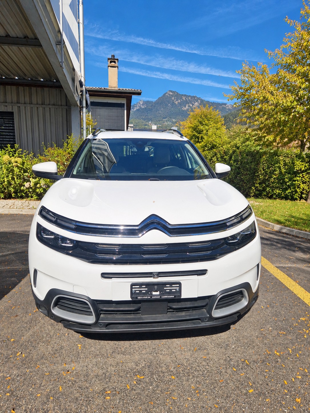 CITROEN 2.0 BlueHDi Shine-image-0