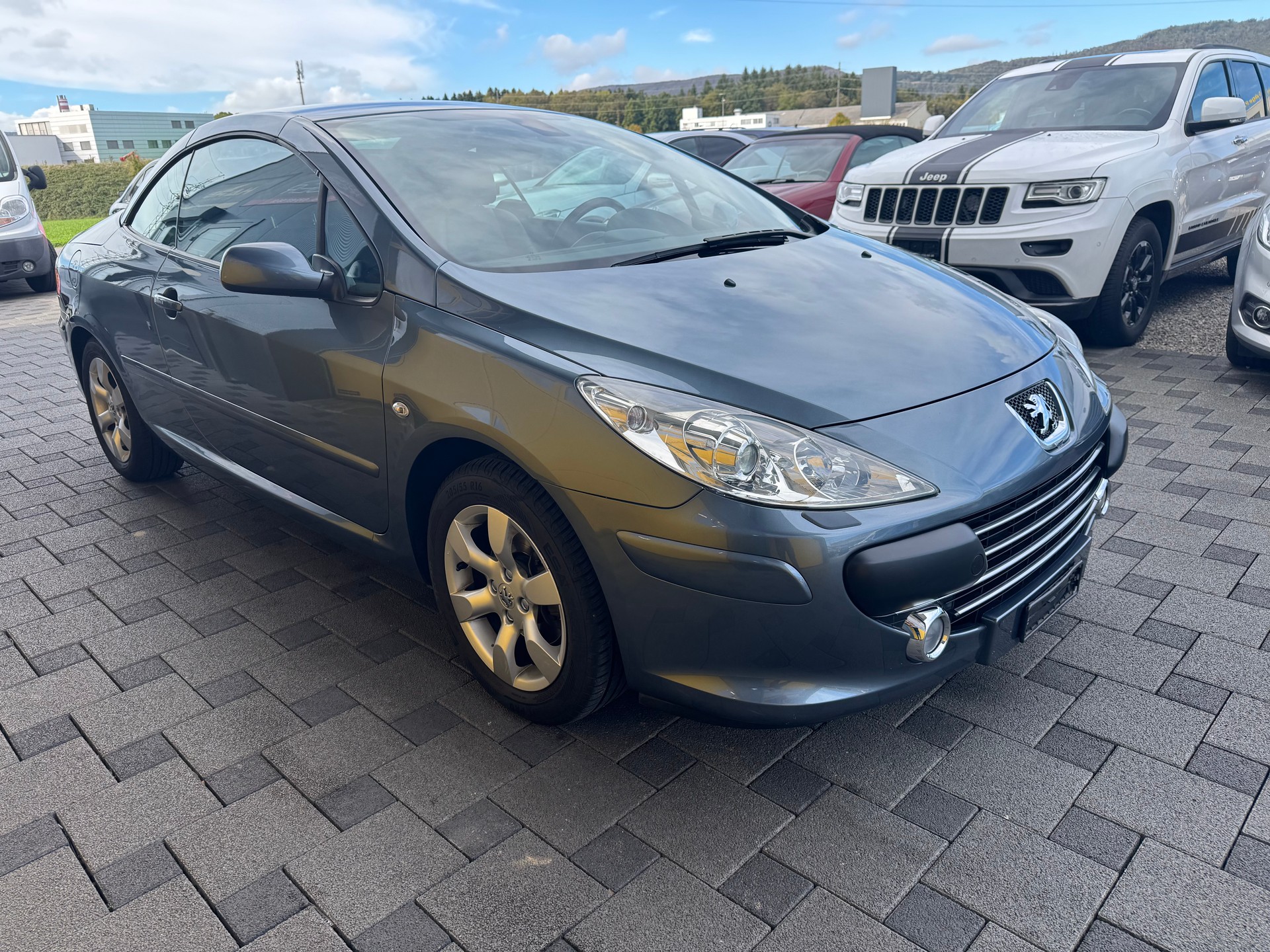 PEUGEOT 307 CC 2.0 16V Platinum Edition-image-9
