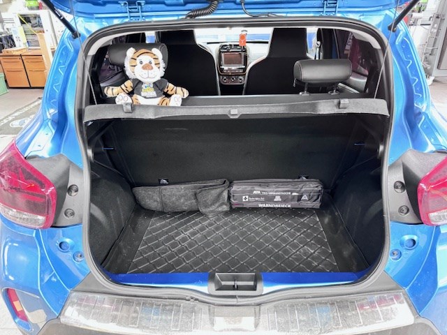 DACIA Spring 27 kWh Expression-image-9