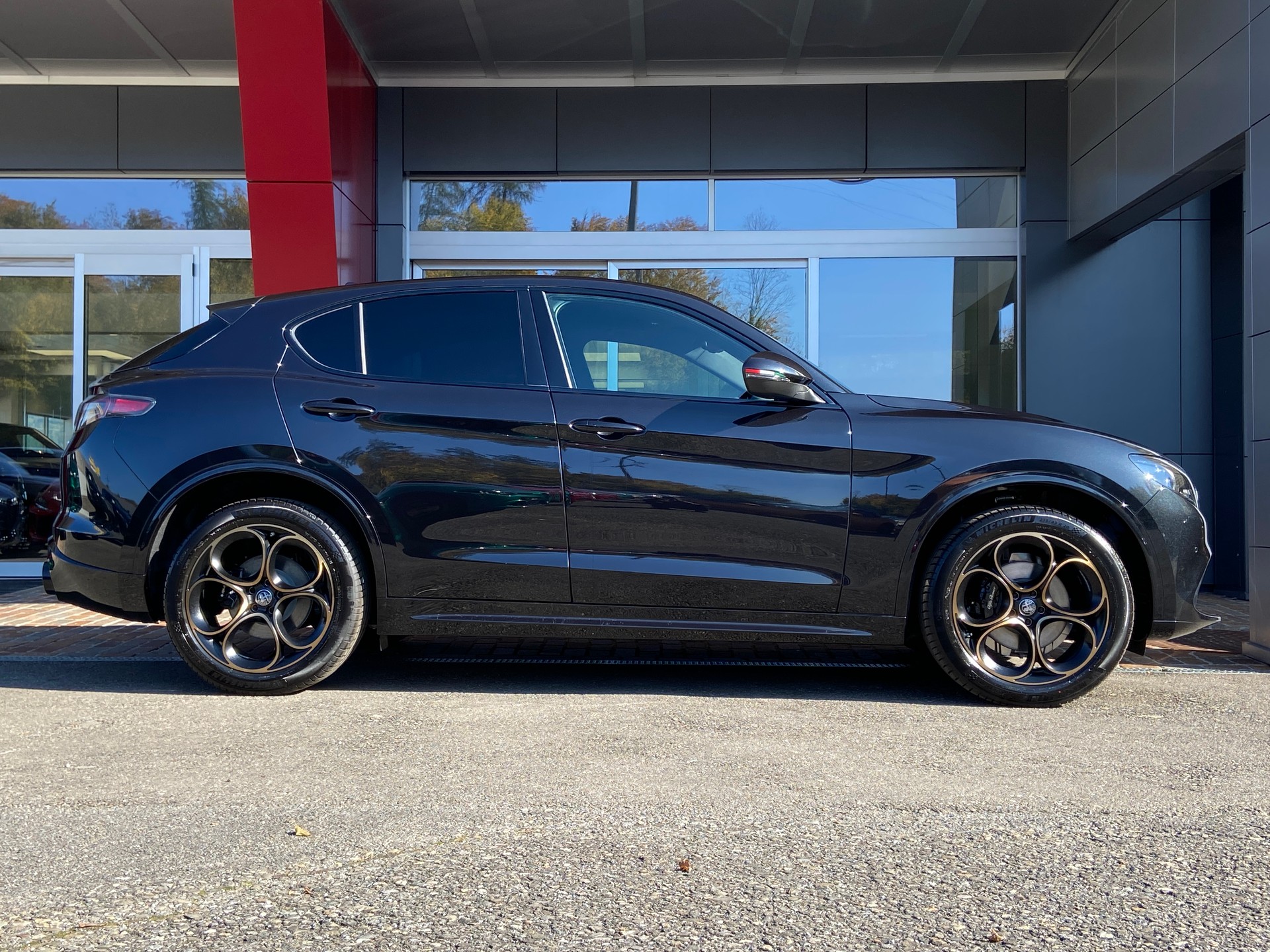 ALFA ROMEO Stelvio 2.0 Intensa Sky Q4 AT8-image-18