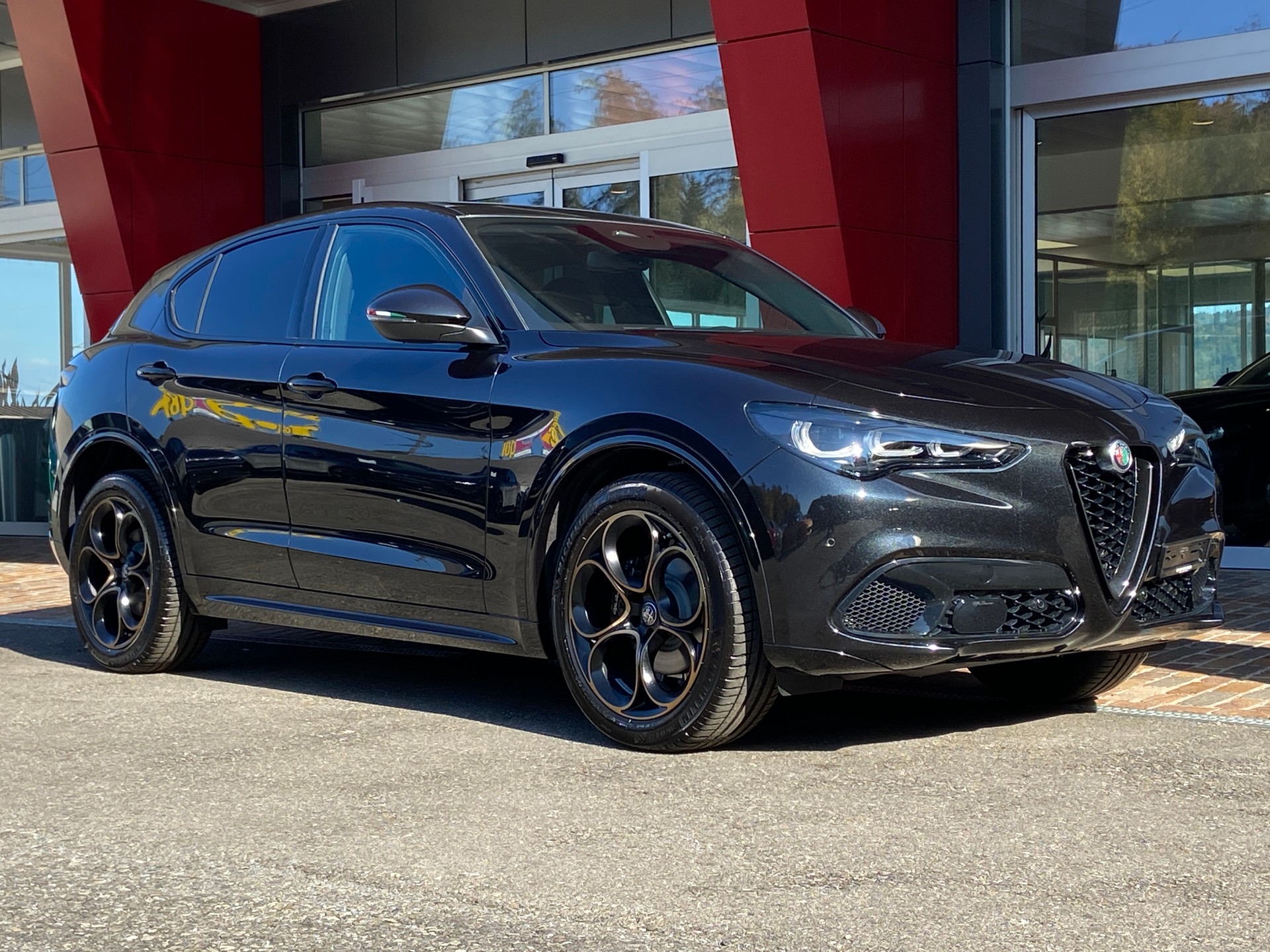 ALFA ROMEO Stelvio 2.0 Intensa Sky Q4 AT8-image-17