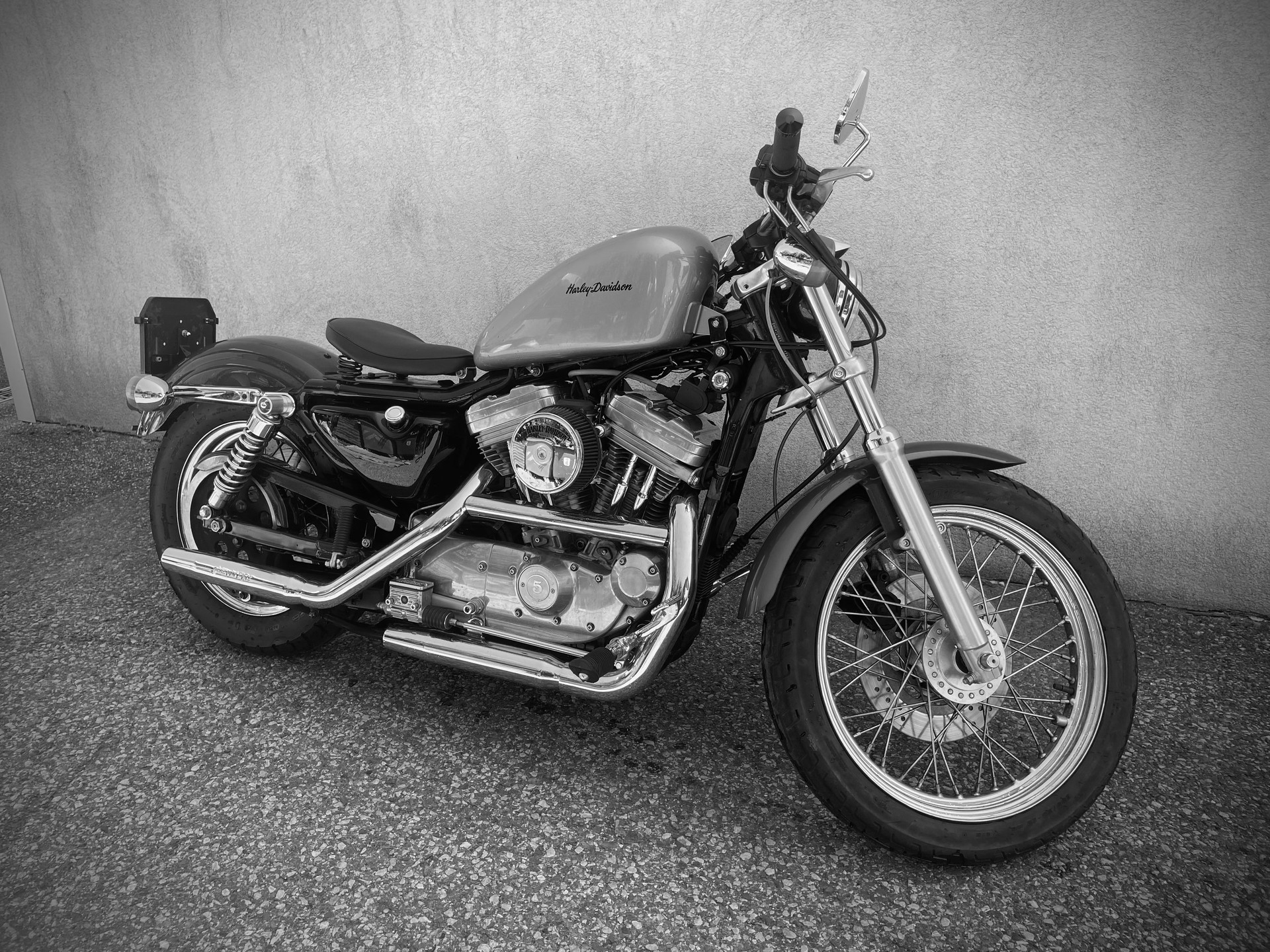 HARLEY-DAVIDSON XL 883-image-1