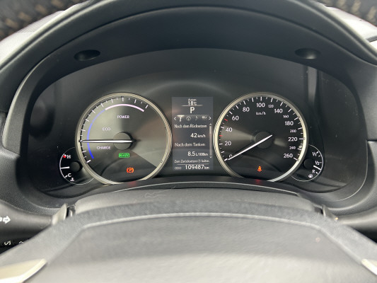 LEXUS NX 300h excellence-image-13