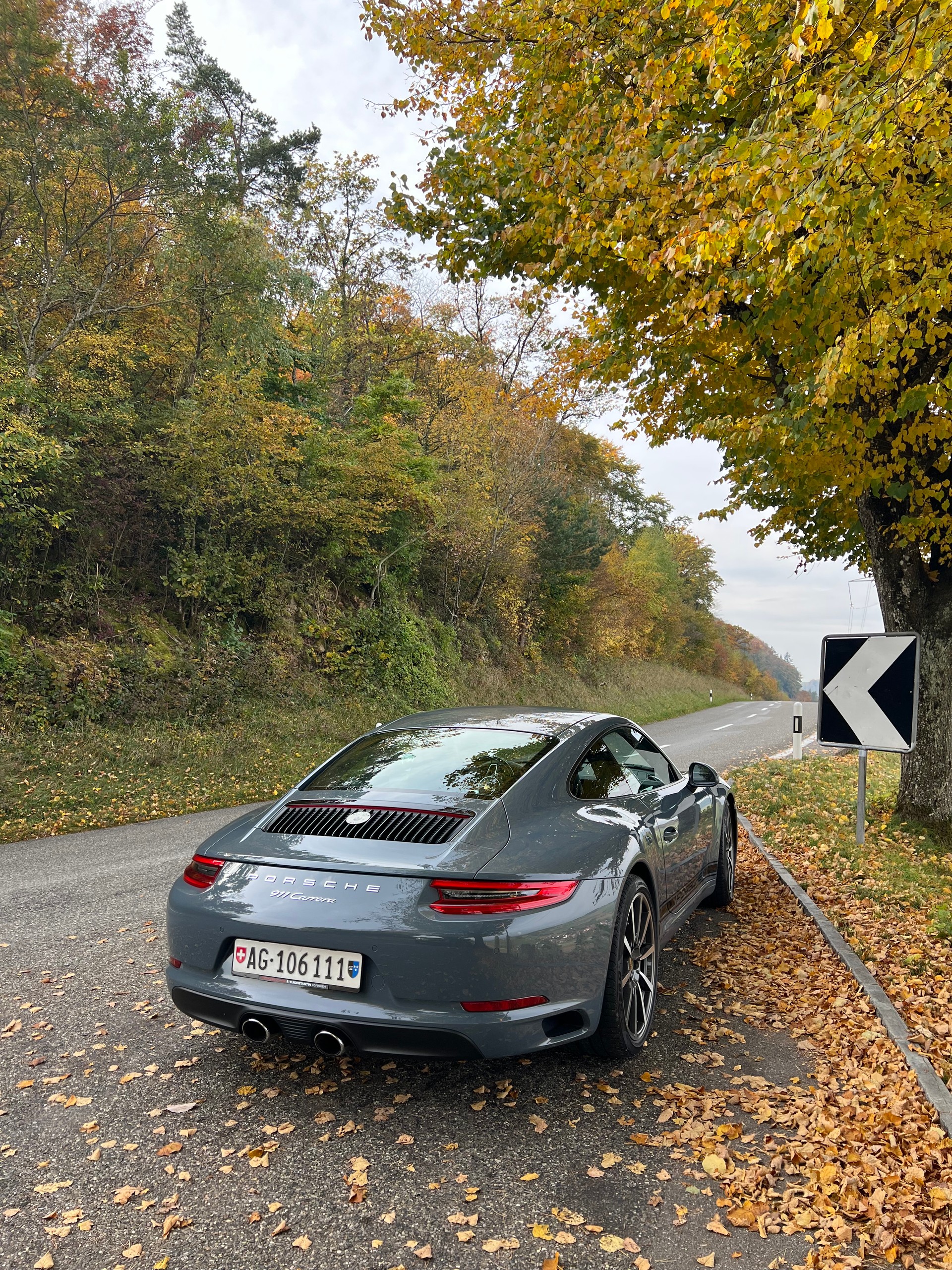 PORSCHE 3.0 Carrera-image-9