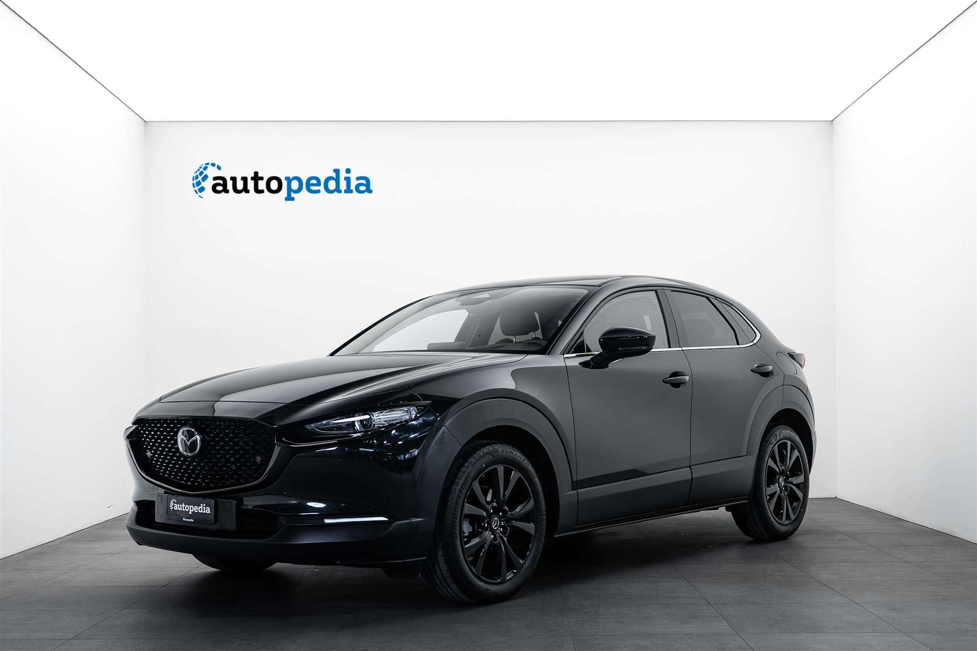MAZDA MAZDA CX-30 SKYACTIV-G 140 MHEV Nagisa Automat-image-0
