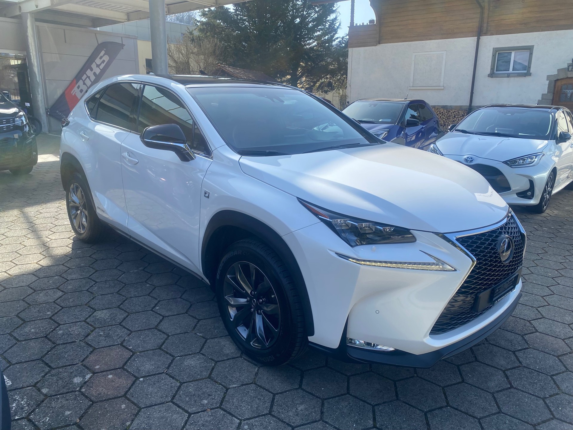 LEXUS NX 300h F-Sport E-Four Automatic-showroom-element-1