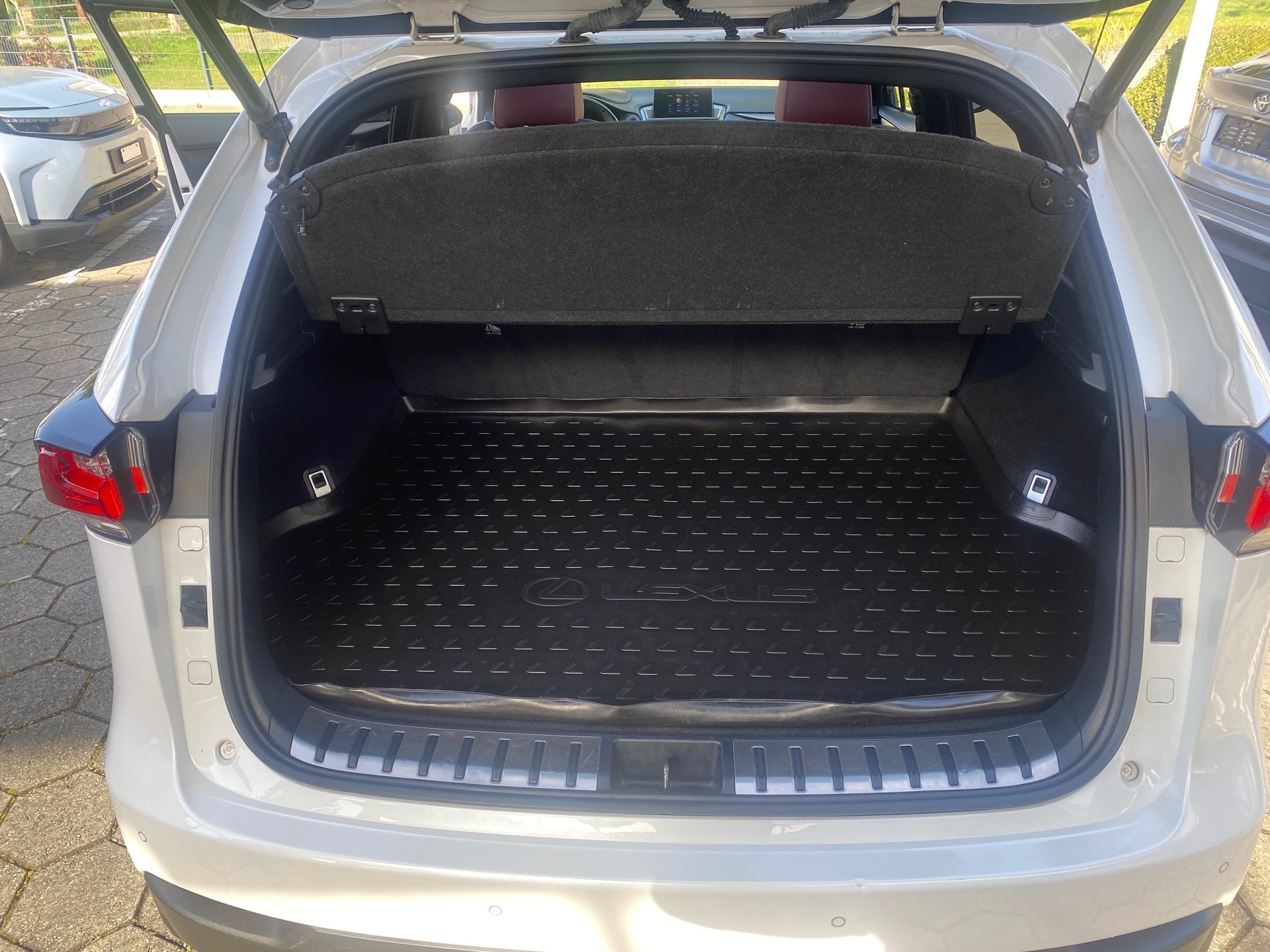 LEXUS NX 300h F-Sport E-Four Automatic-image-8