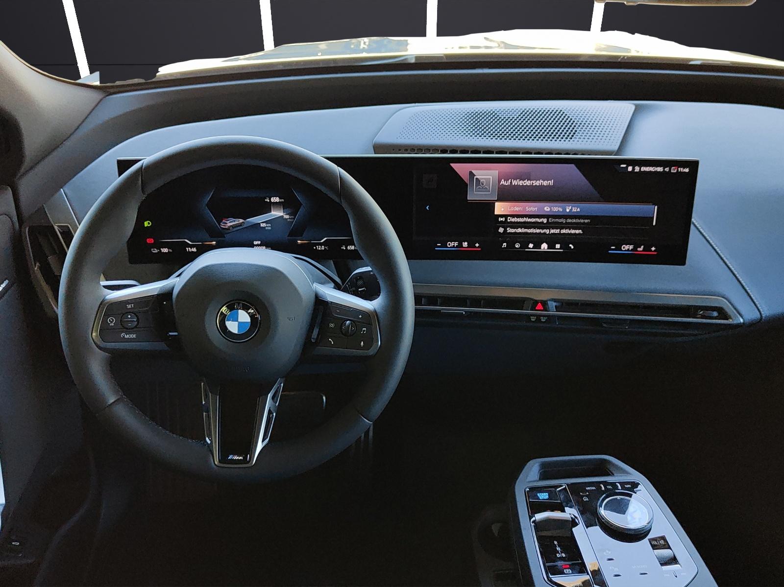 BMW iX xDrive60-image-18